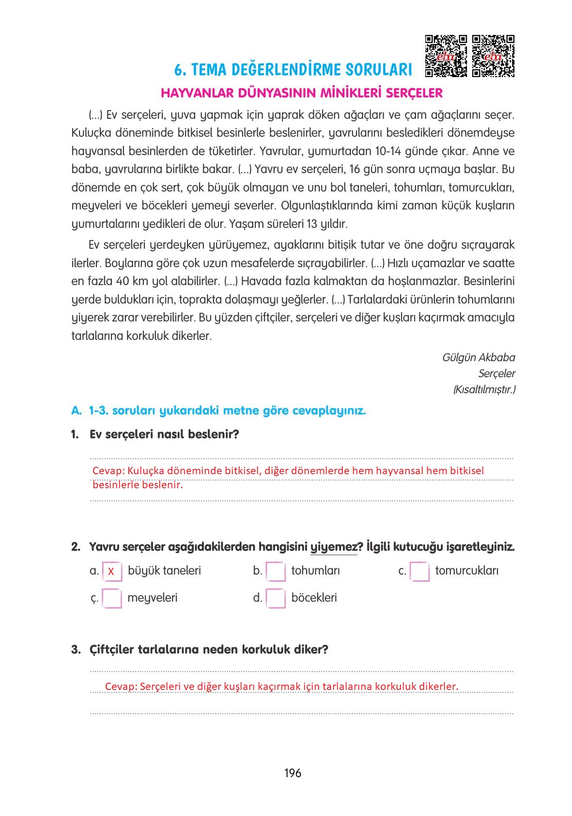 4. Sınıf Tuna Yayınları Türkçe Ders Kitabı Sayfa 196 Cevapları