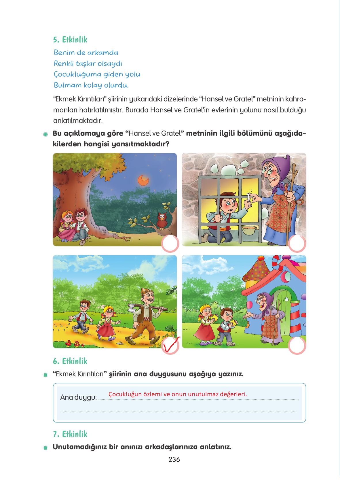 4. Sınıf Tuna Yayınları Türkçe Ders Kitabı Sayfa 236 Cevapları