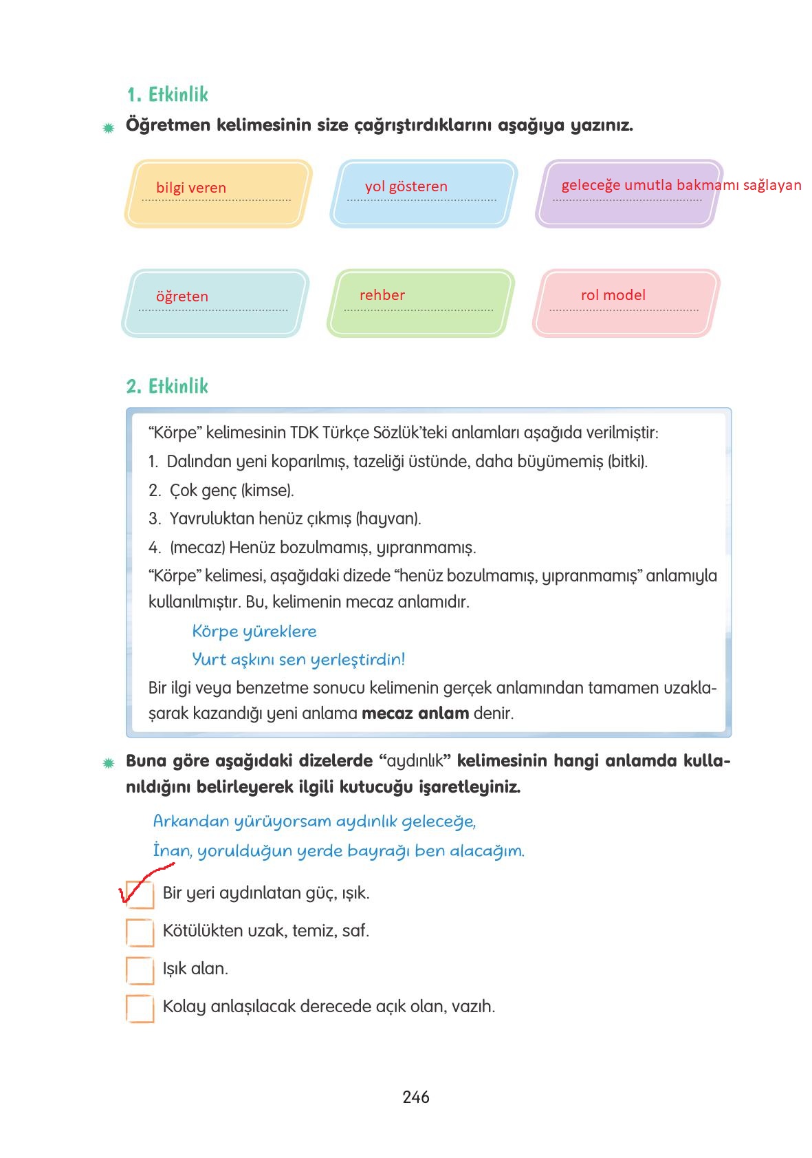 4. Sınıf Tuna Yayınları Türkçe Ders Kitabı Sayfa 246 Cevapları