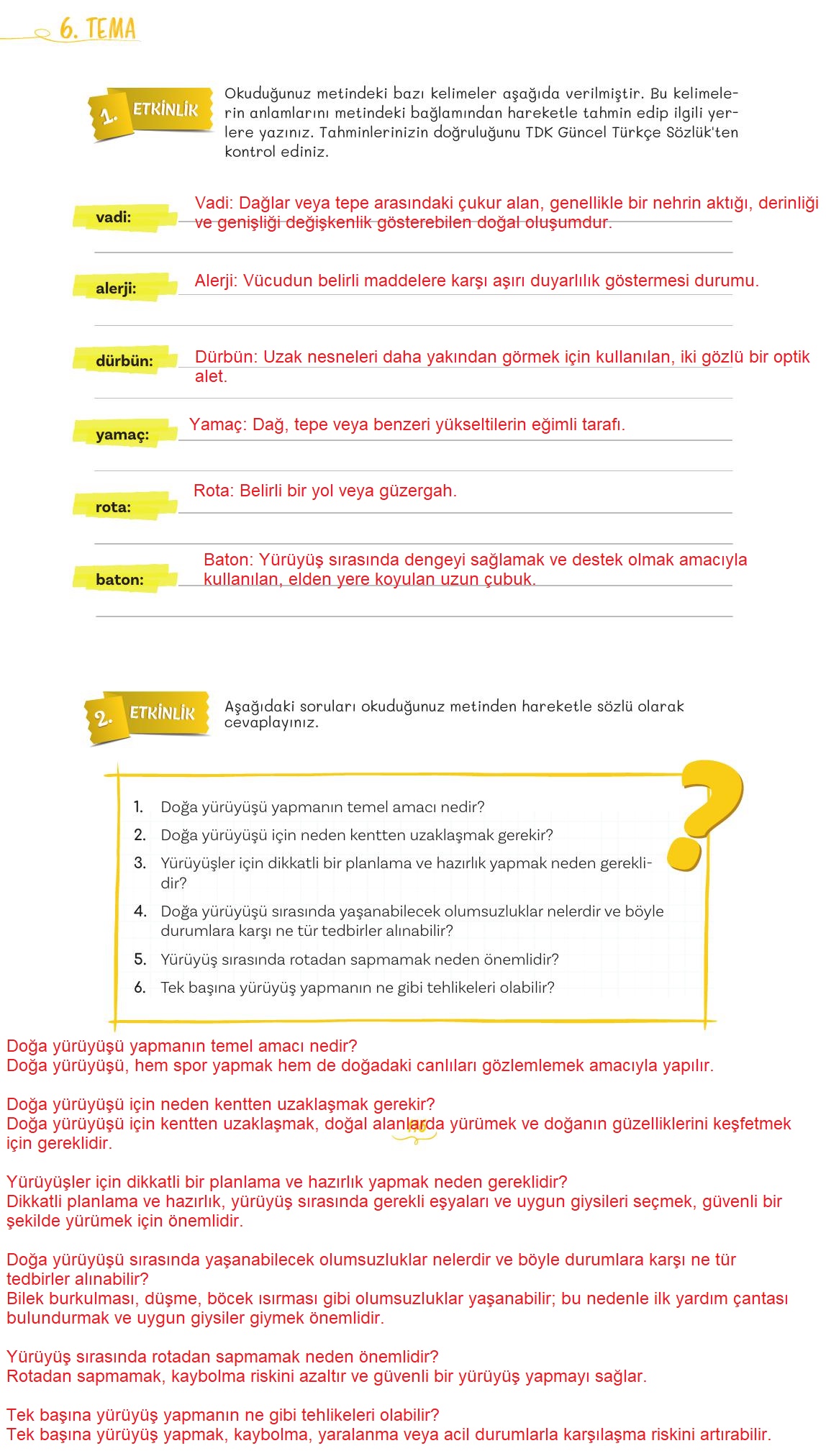 5. Sınıf Meb Yayınları 2. Kitap Türkçe Ders Kitabı Sayfa 116 Cevapları