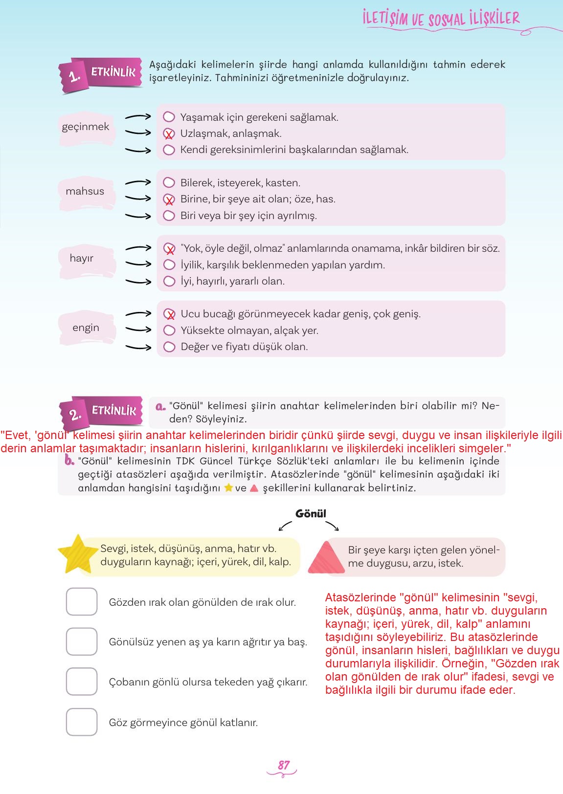 5. Sınıf Meb Yayınları 2. Kitap Türkçe Ders Kitabı Sayfa 87 Cevapları