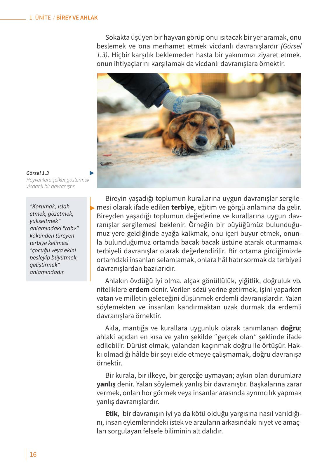 6. Sınıf Meb Yayınları Ahlak Ve Vatandaşlık Eğitimi Ders Kitabı Sayfa 16 Cevapları