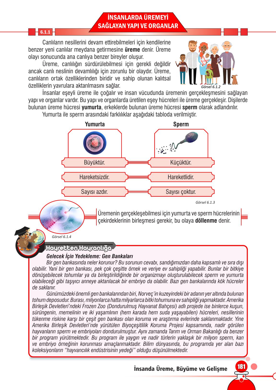 7. Sınıf Meb Yayınları Fen Bilimleri Ders Kitabı Sayfa 181 Cevapları 7. Sınıf Meb Yayınları Fen Bilimleri Ders Kitabı Sayfa 181 Cevapları