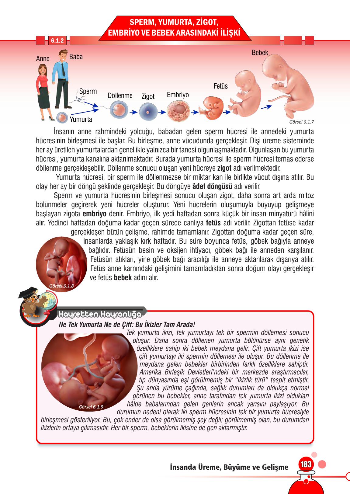 7. Sınıf Meb Yayınları Fen Bilimleri Ders Kitabı Sayfa 183 Cevapları 7. Sınıf Meb Yayınları Fen Bilimleri Ders Kitabı Sayfa 183 Cevapları
