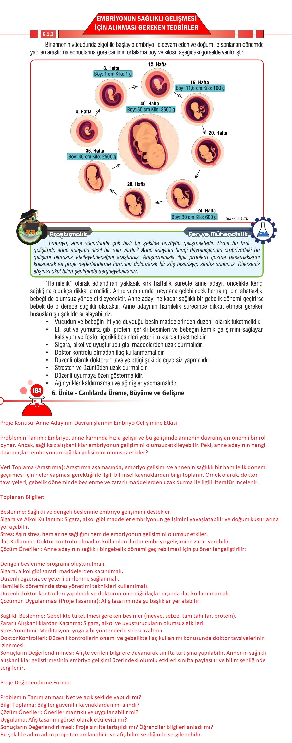 7. Sınıf Meb Yayınları Fen Bilimleri Ders Kitabı Sayfa 184 Cevapları 7. Sınıf Meb Yayınları Fen Bilimleri Ders Kitabı Sayfa 184 Cevapları