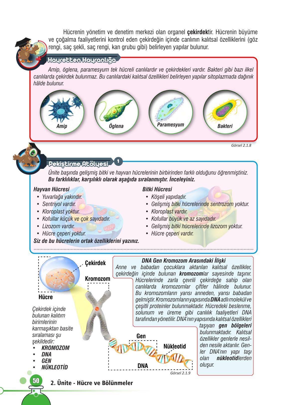 7. Sınıf Meb Yayınları Fen Bilimleri Ders Kitabı Sayfa 50 Cevapları 7. Sınıf Meb Yayınları Fen Bilimleri Ders Kitabı Sayfa 50 Cevapları