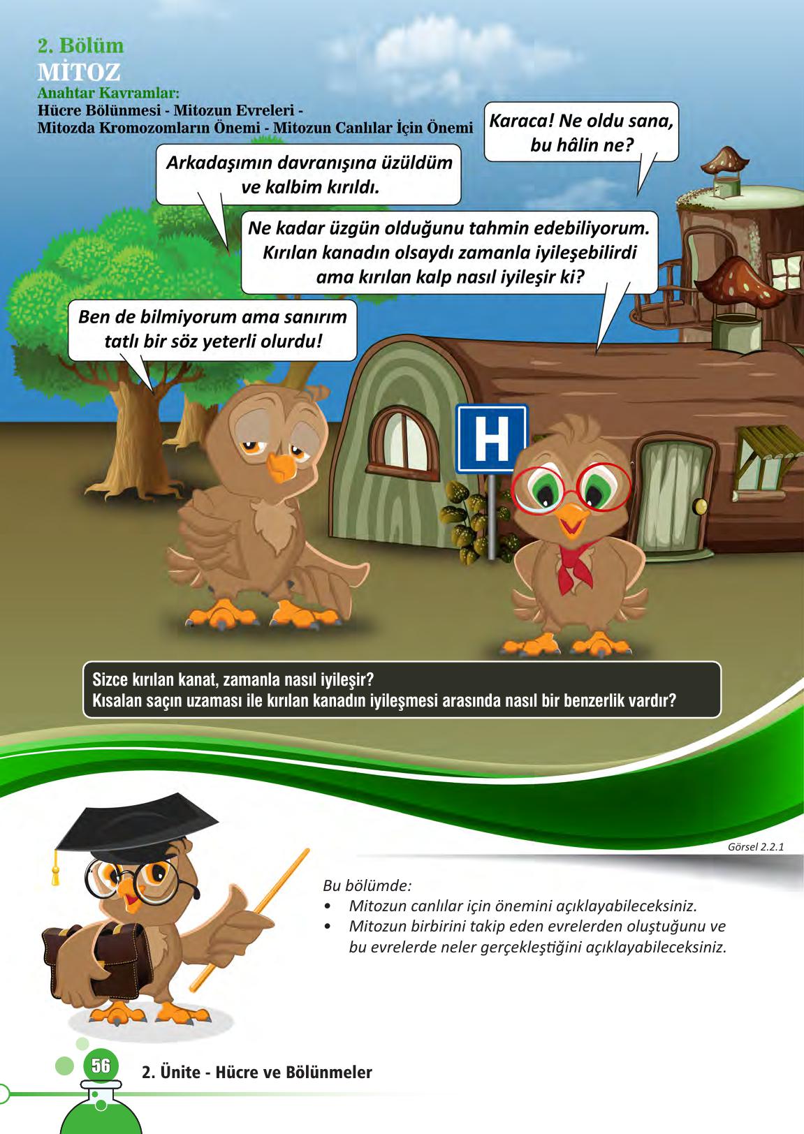 7. Sınıf Meb Yayınları Fen Bilimleri Ders Kitabı Sayfa 56 Cevapları