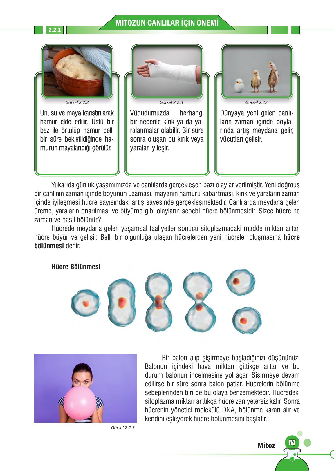 7. Sınıf Meb Yayınları Fen Bilimleri Ders Kitabı Sayfa 57 Cevapları