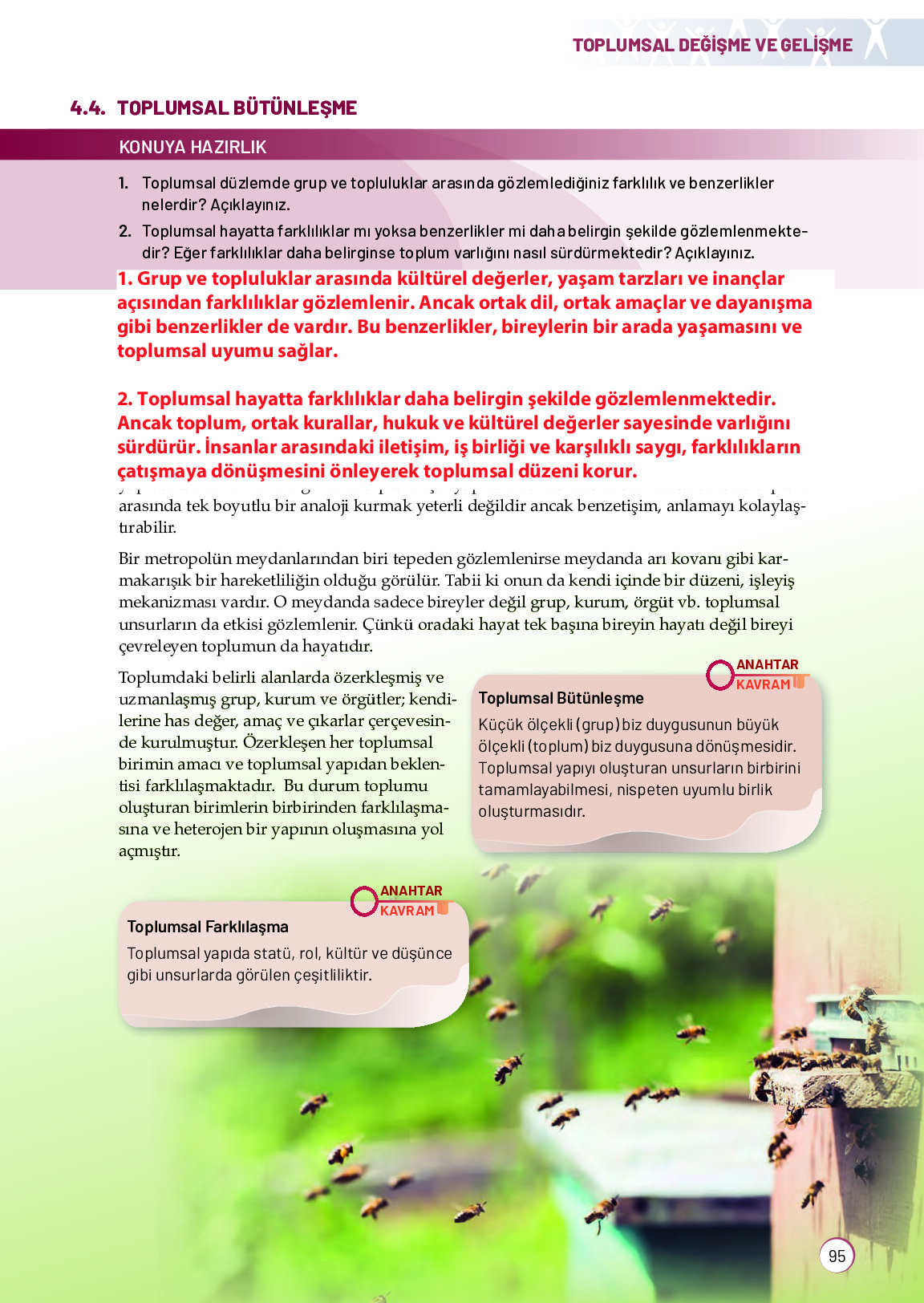 11. Sınıf Meb Yayınları Sosyoloji Ders Kitabı Sayfa 95 Cevapları