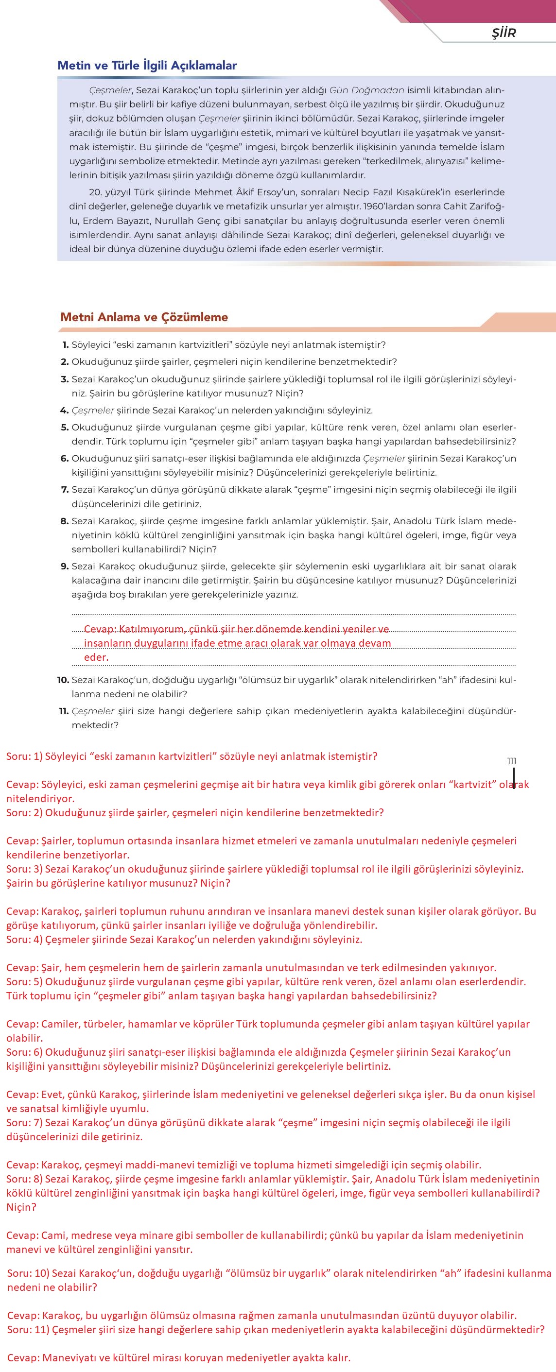 12. Sınıf Meb Yayınları Türk Dili Ve Edebiyatı Ders Kitabı Sayfa 111 Cevapları