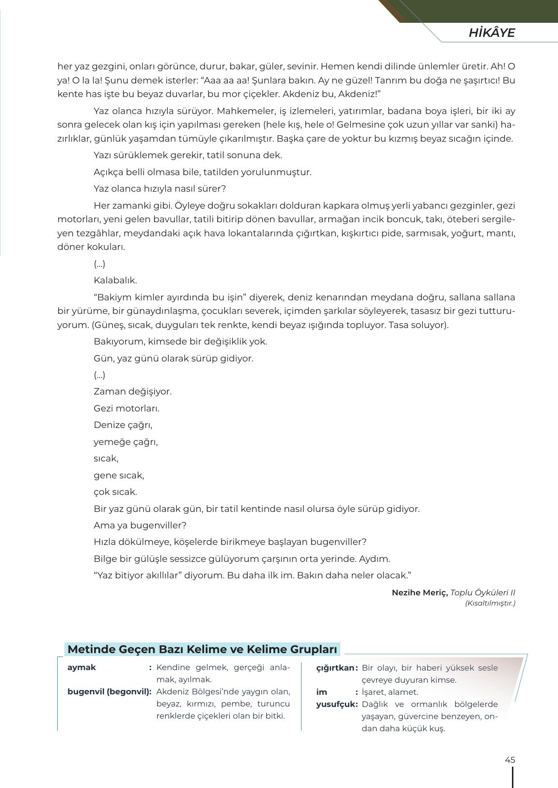 12. Sınıf Meb Yayınları Türk Dili Ve Edebiyatı Ders Kitabı Sayfa 45 Cevapları
