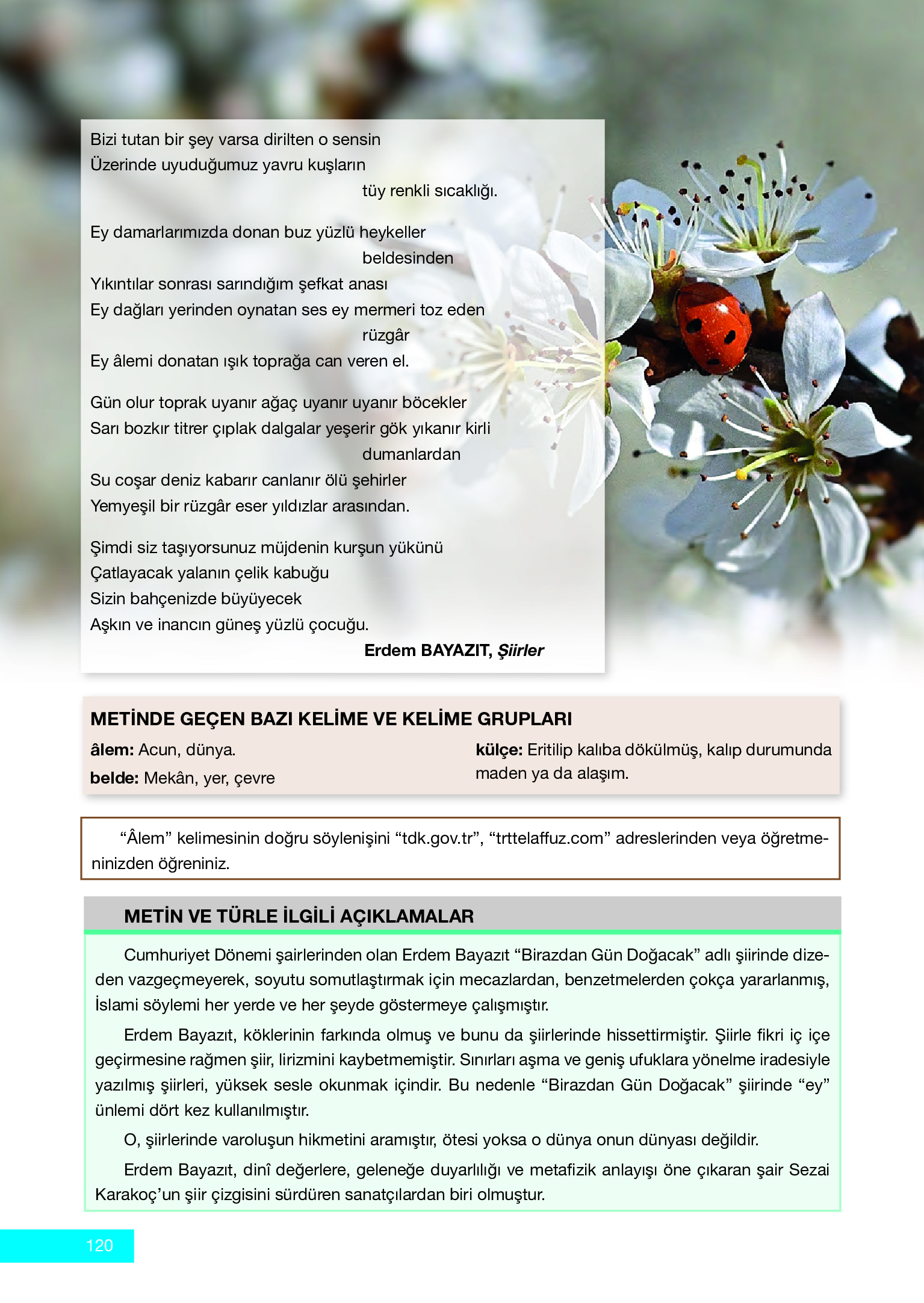 12. Sınıf Melis Yayınları Türk Dili Ve Edebiyatı Ders Kitabı Sayfa 120 Cevapları 12. Sınıf Melis Yayınları Türk Dili Ve Edebiyatı Ders Kitabı Sayfa 120 Cevapları