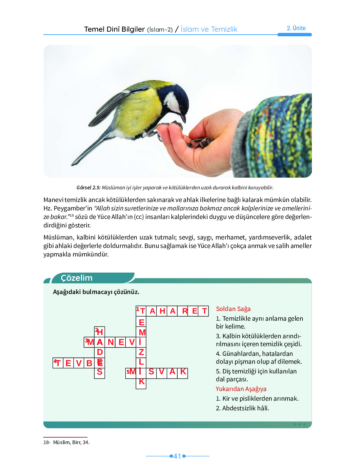 6. Sınıf Meb Yayınları Temel Dini Bilgiler İslam 2 Ders Kitabı Sayfa 41 Cevapları