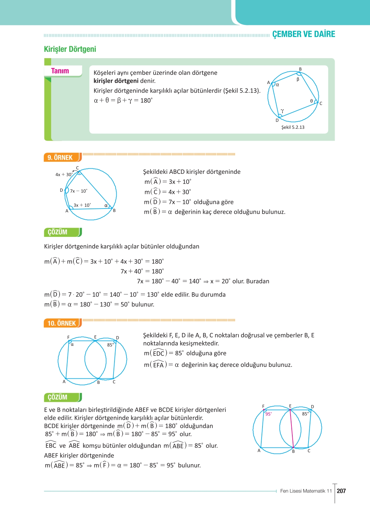 11. Sınıf Meb Yayınları Fen Lisesi Matematik Ders Kitabı Sayfa 207 Cevapları