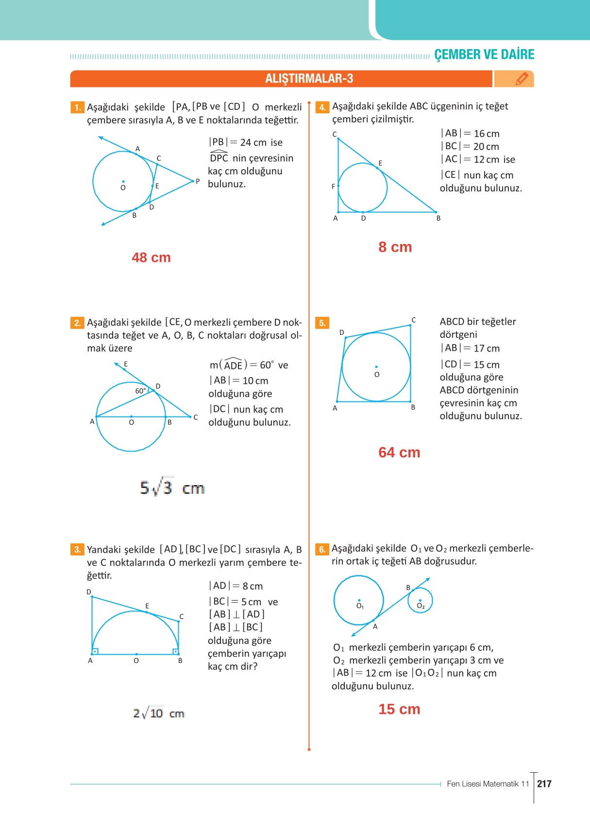 11. Sınıf Meb Yayınları Fen Lisesi Matematik Ders Kitabı Sayfa 217 Cevapları
