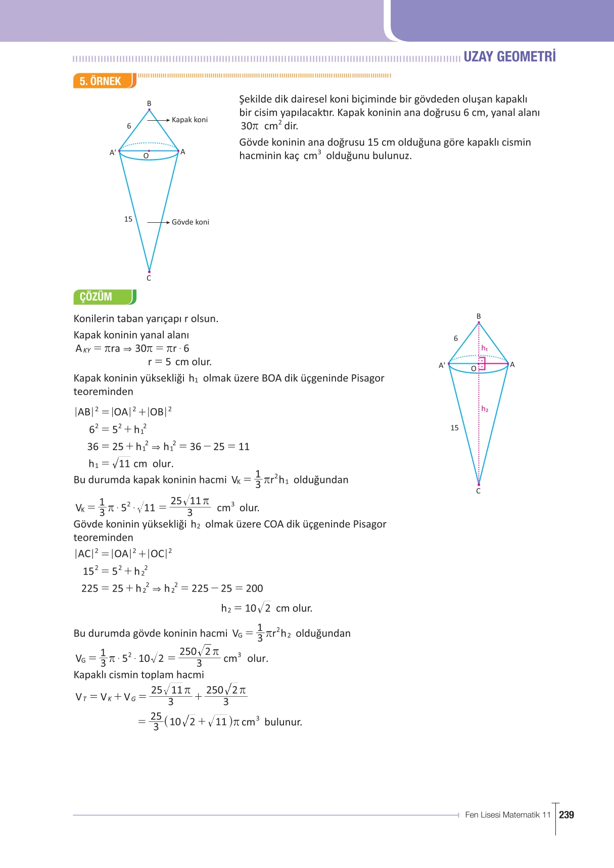 11. Sınıf Meb Yayınları Fen Lisesi Matematik Ders Kitabı Sayfa 239 Cevapları