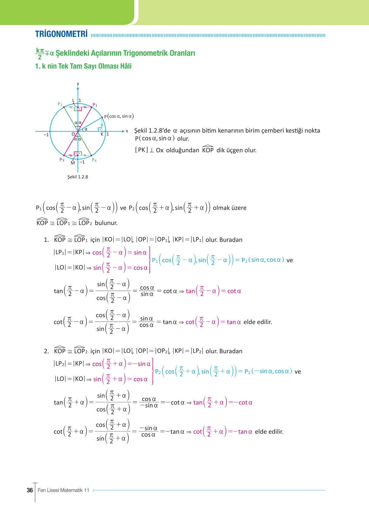 11. Sınıf Meb Yayınları Fen Lisesi Matematik Ders Kitabı Sayfa 36 Cevapları