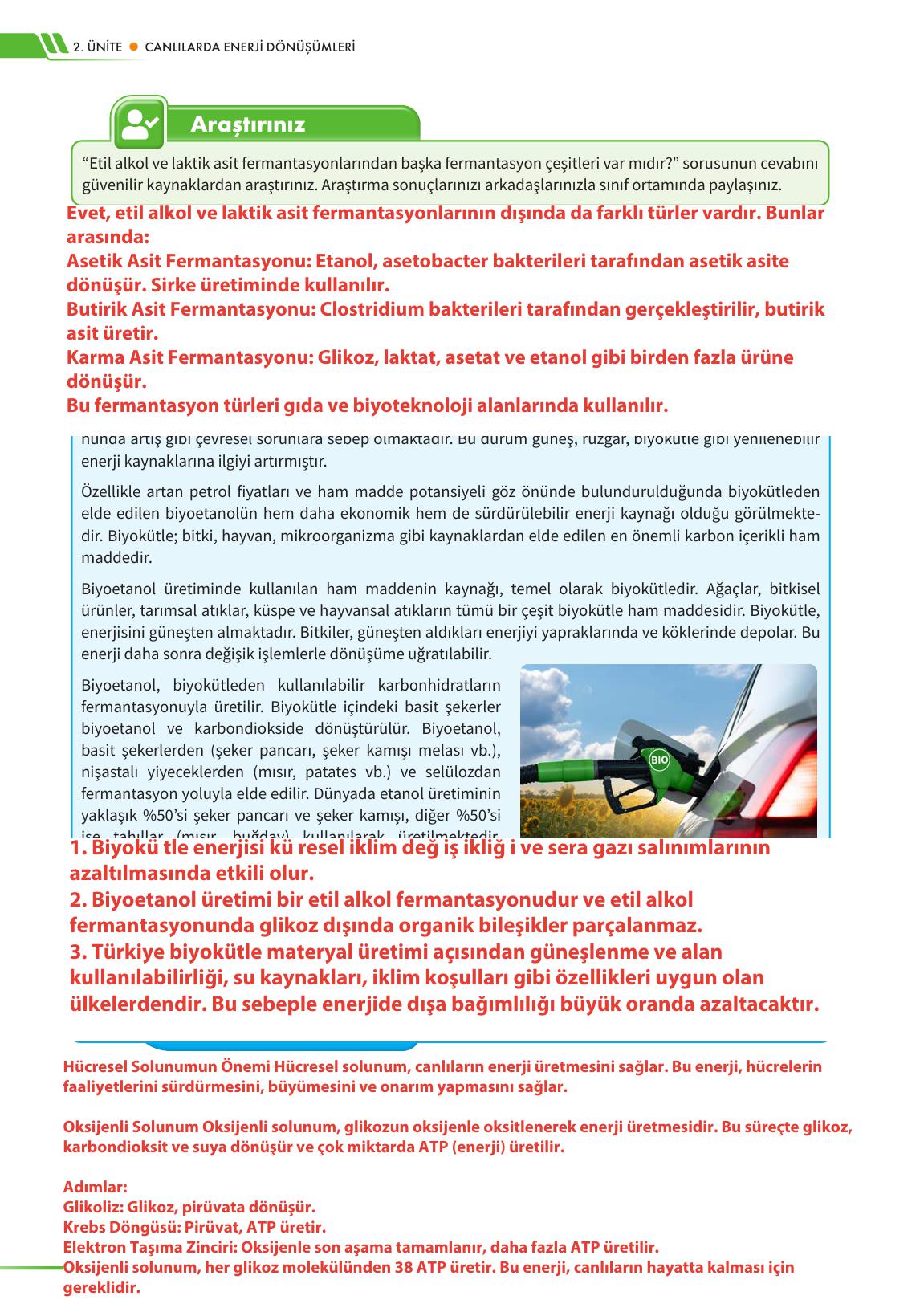 12. Sınıf Meb Yayınları Fen Lisesi Biyoloji Ders Kitabı Sayfa 102 Cevapları 12. Sınıf Meb Yayınları Fen Lisesi Biyoloji Ders Kitabı Sayfa 102 Cevapları