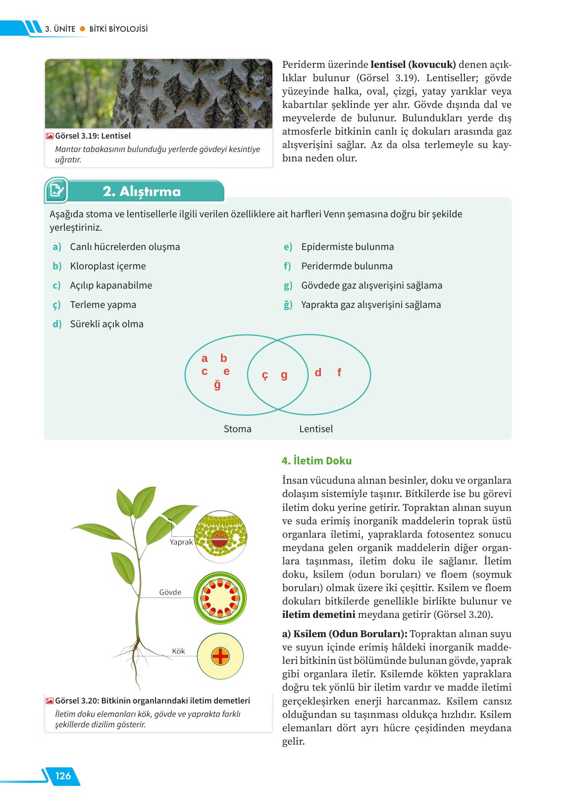 12. Sınıf Meb Yayınları Fen Lisesi Biyoloji Ders Kitabı Sayfa 126 Cevapları 12. Sınıf Meb Yayınları Fen Lisesi Biyoloji Ders Kitabı Sayfa 126 Cevapları