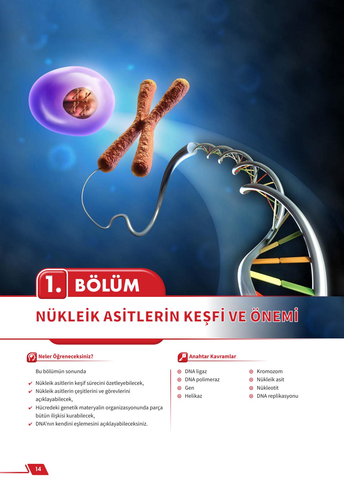 12. Sınıf Meb Yayınları Fen Lisesi Biyoloji Ders Kitabı Sayfa 14 Cevapları 12. Sınıf Meb Yayınları Fen Lisesi Biyoloji Ders Kitabı Sayfa 14 Cevapları
