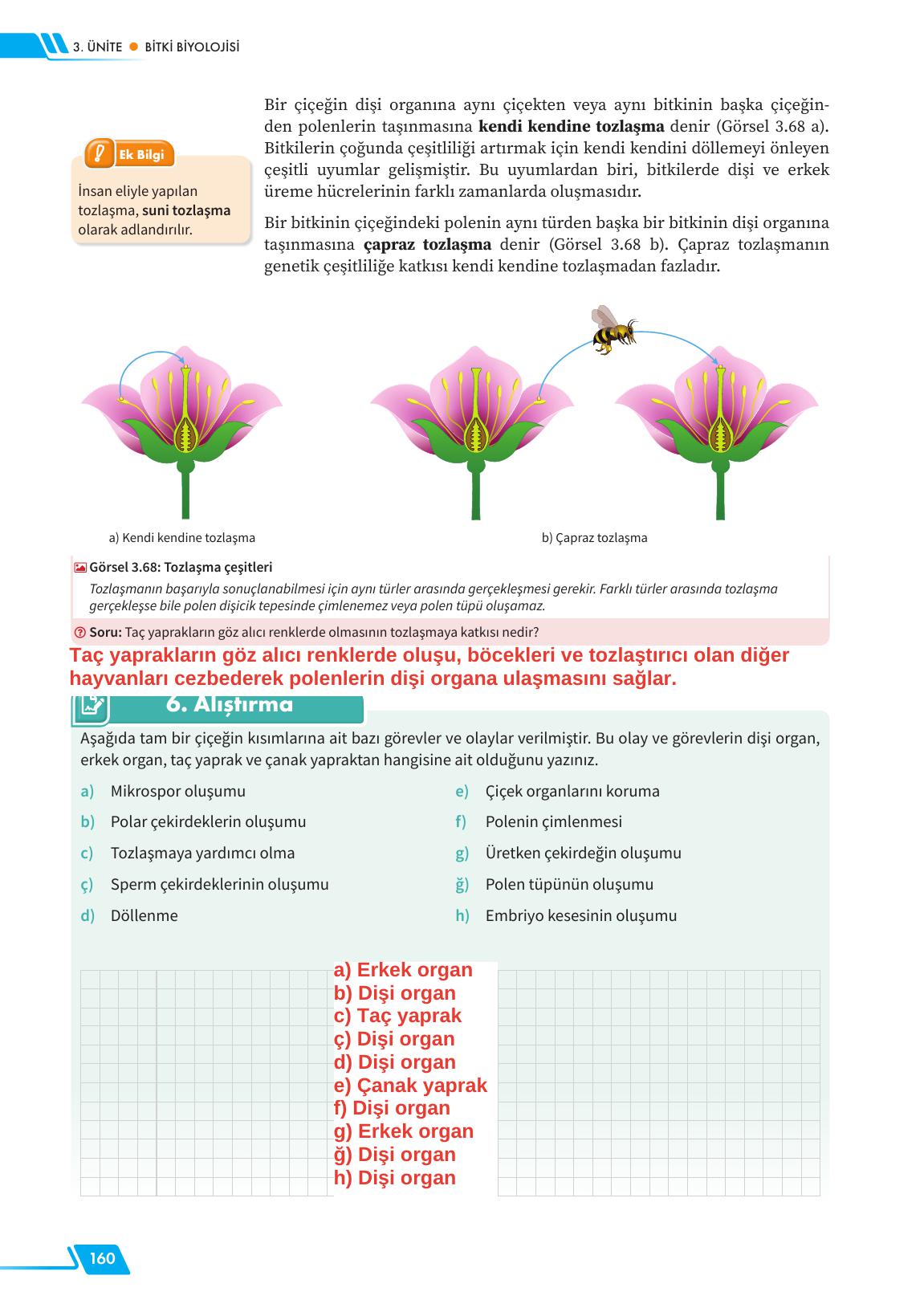 12. Sınıf Meb Yayınları Fen Lisesi Biyoloji Ders Kitabı Sayfa 160 Cevapları 12. Sınıf Meb Yayınları Fen Lisesi Biyoloji Ders Kitabı Sayfa 160 Cevapları