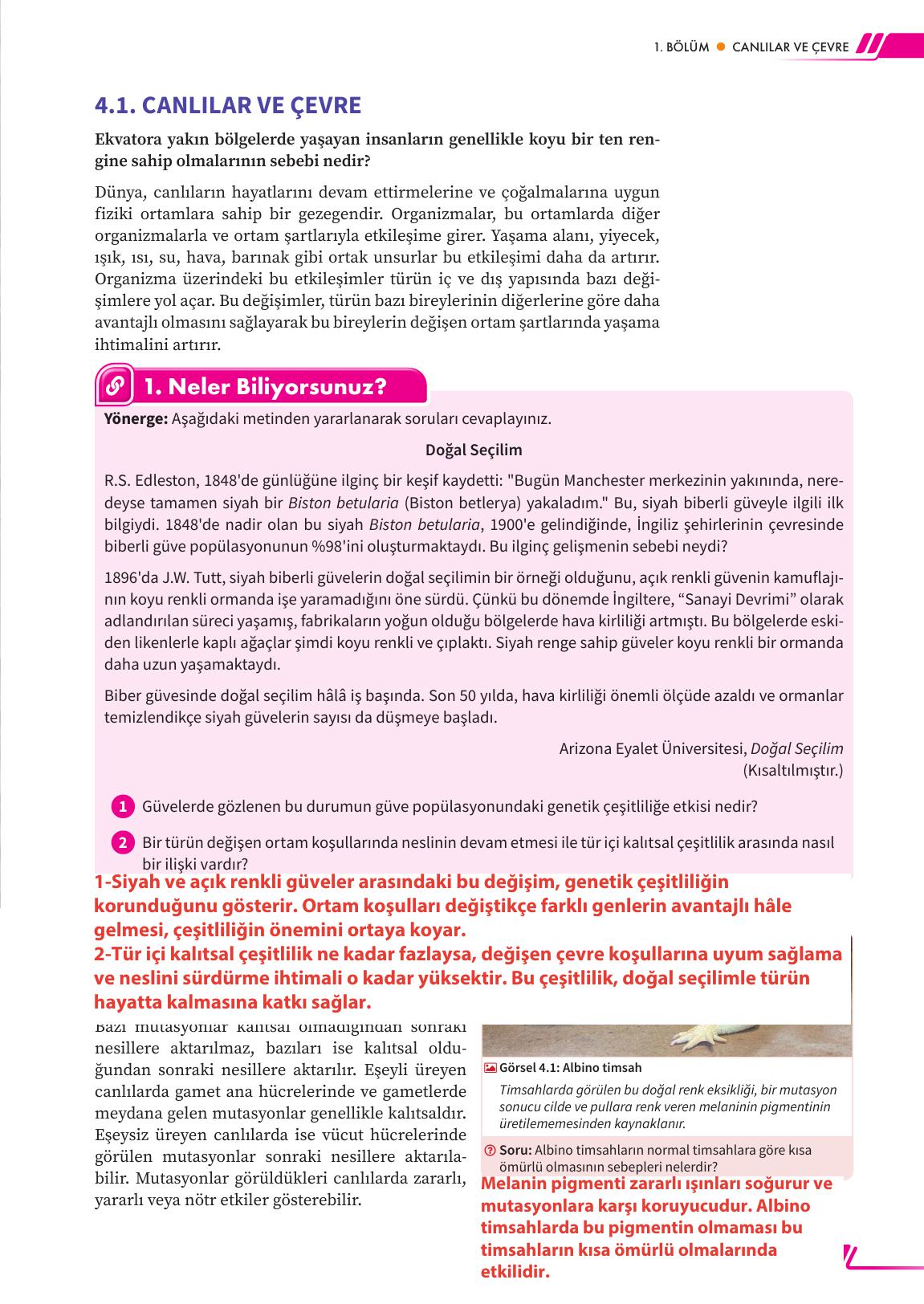 12. Sınıf Meb Yayınları Fen Lisesi Biyoloji Ders Kitabı Sayfa 175 Cevapları 12. Sınıf Meb Yayınları Fen Lisesi Biyoloji Ders Kitabı Sayfa 175 Cevapları