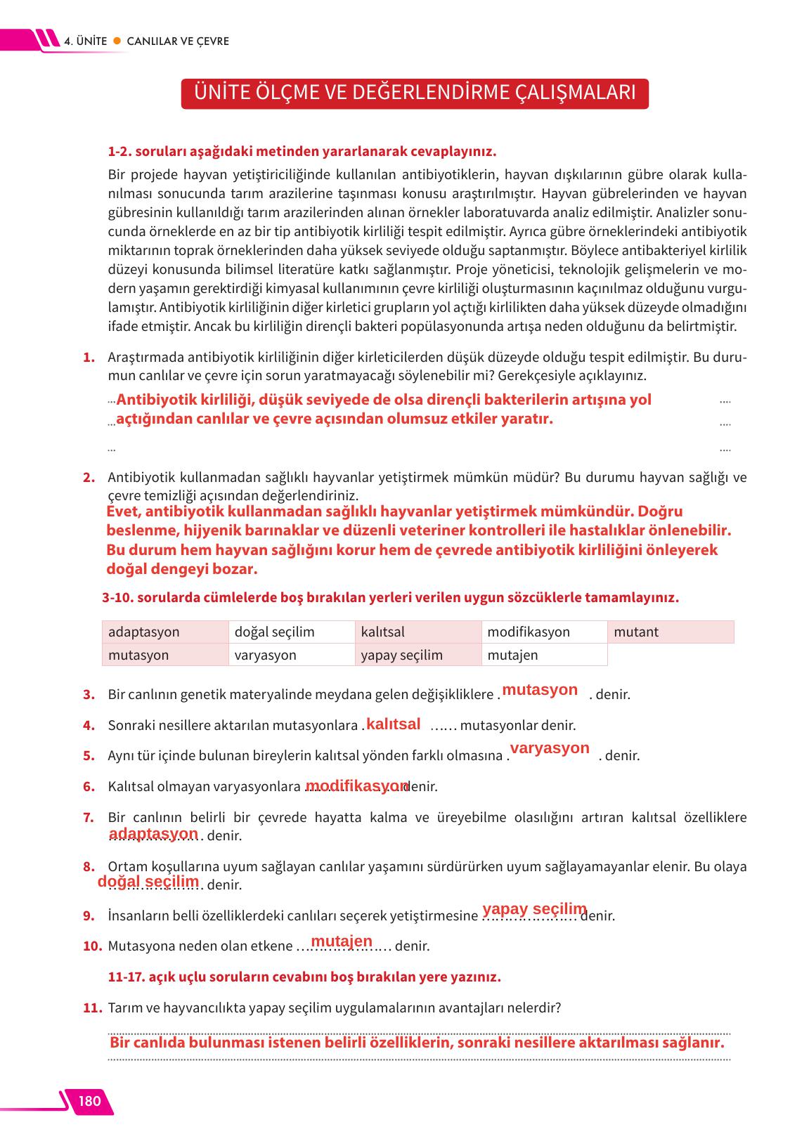 12. Sınıf Meb Yayınları Fen Lisesi Biyoloji Ders Kitabı Sayfa 180 Cevapları 12. Sınıf Meb Yayınları Fen Lisesi Biyoloji Ders Kitabı Sayfa 180 Cevapları