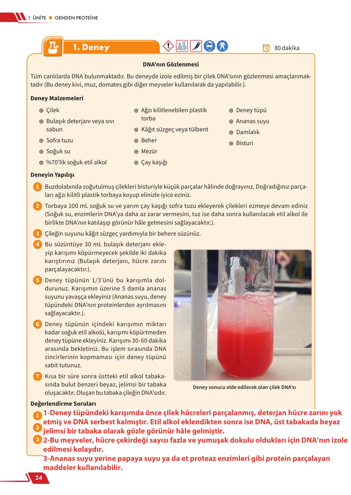 12. Sınıf Meb Yayınları Fen Lisesi Biyoloji Ders Kitabı Sayfa 24 Cevapları 12. Sınıf Meb Yayınları Fen Lisesi Biyoloji Ders Kitabı Sayfa 24 Cevapları