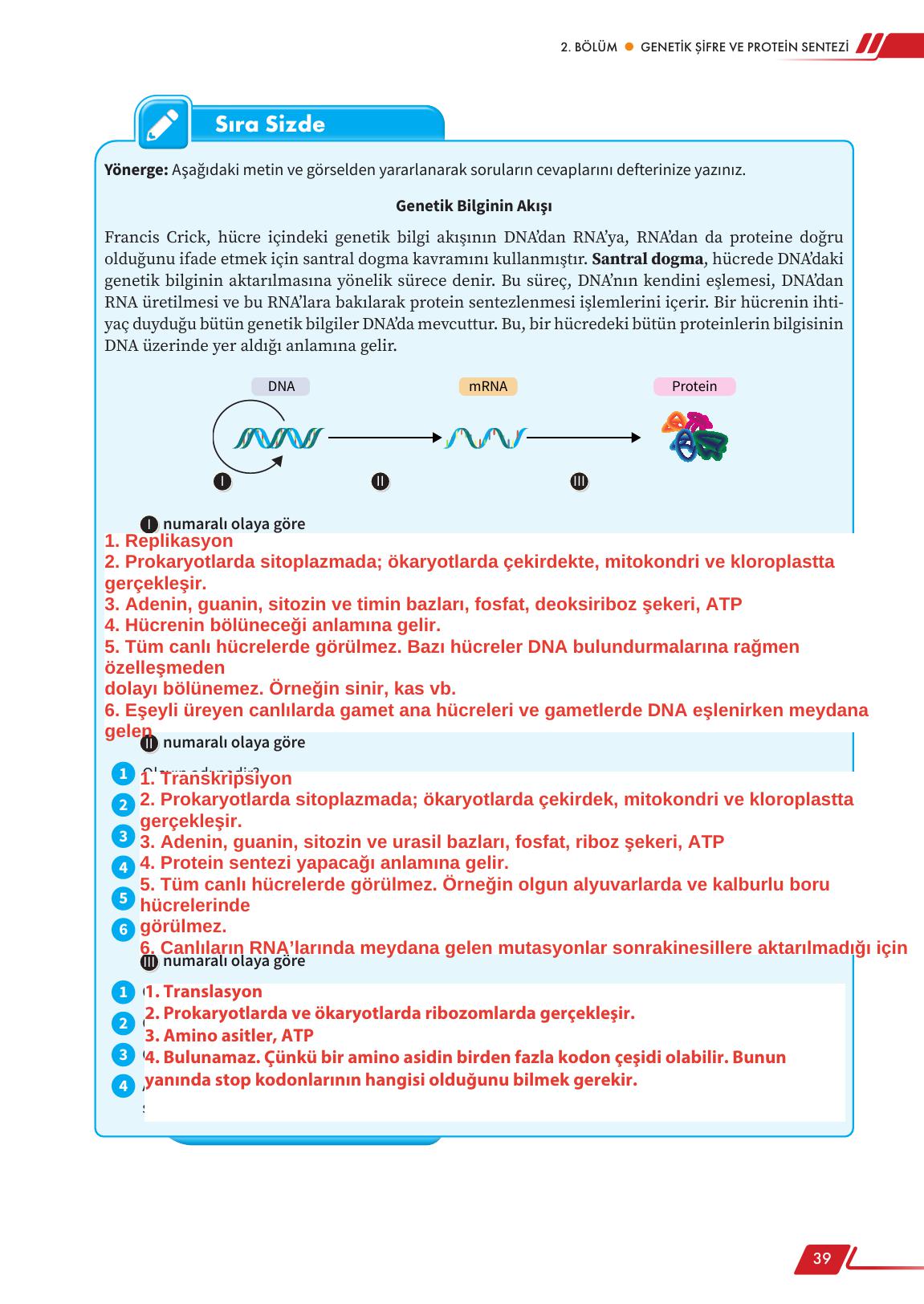 12. Sınıf Meb Yayınları Fen Lisesi Biyoloji Ders Kitabı Sayfa 39 Cevapları