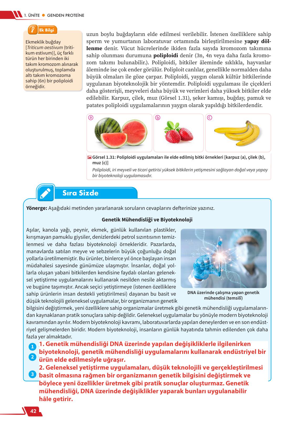 12. Sınıf Meb Yayınları Fen Lisesi Biyoloji Ders Kitabı Sayfa 42 Cevapları