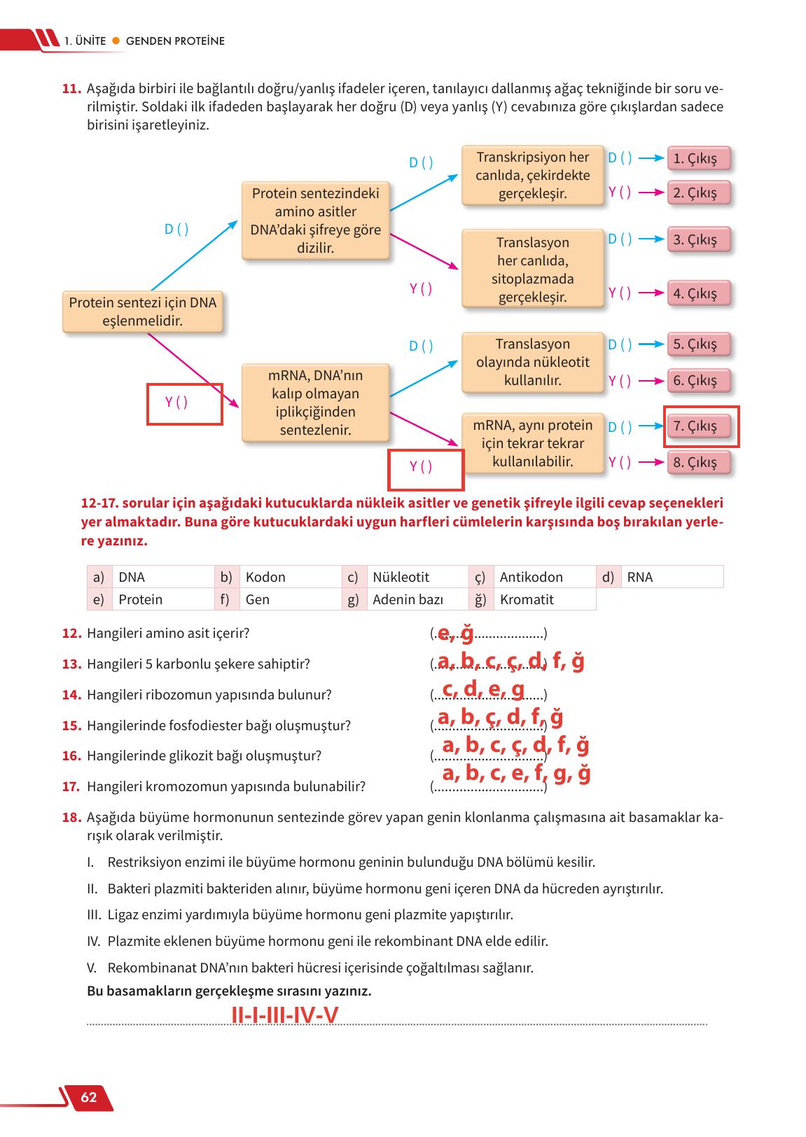 12. Sınıf Meb Yayınları Fen Lisesi Biyoloji Ders Kitabı Sayfa 62 Cevapları