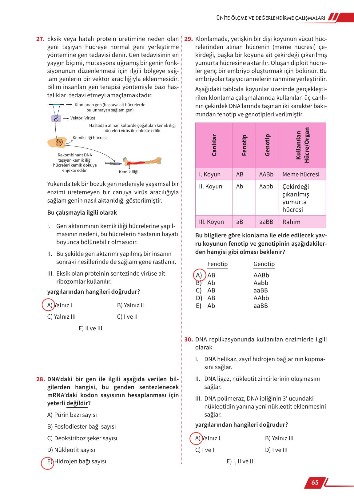 12. Sınıf Meb Yayınları Fen Lisesi Biyoloji Ders Kitabı Sayfa 65 Cevapları 12. Sınıf Meb Yayınları Fen Lisesi Biyoloji Ders Kitabı Sayfa 65 Cevapları