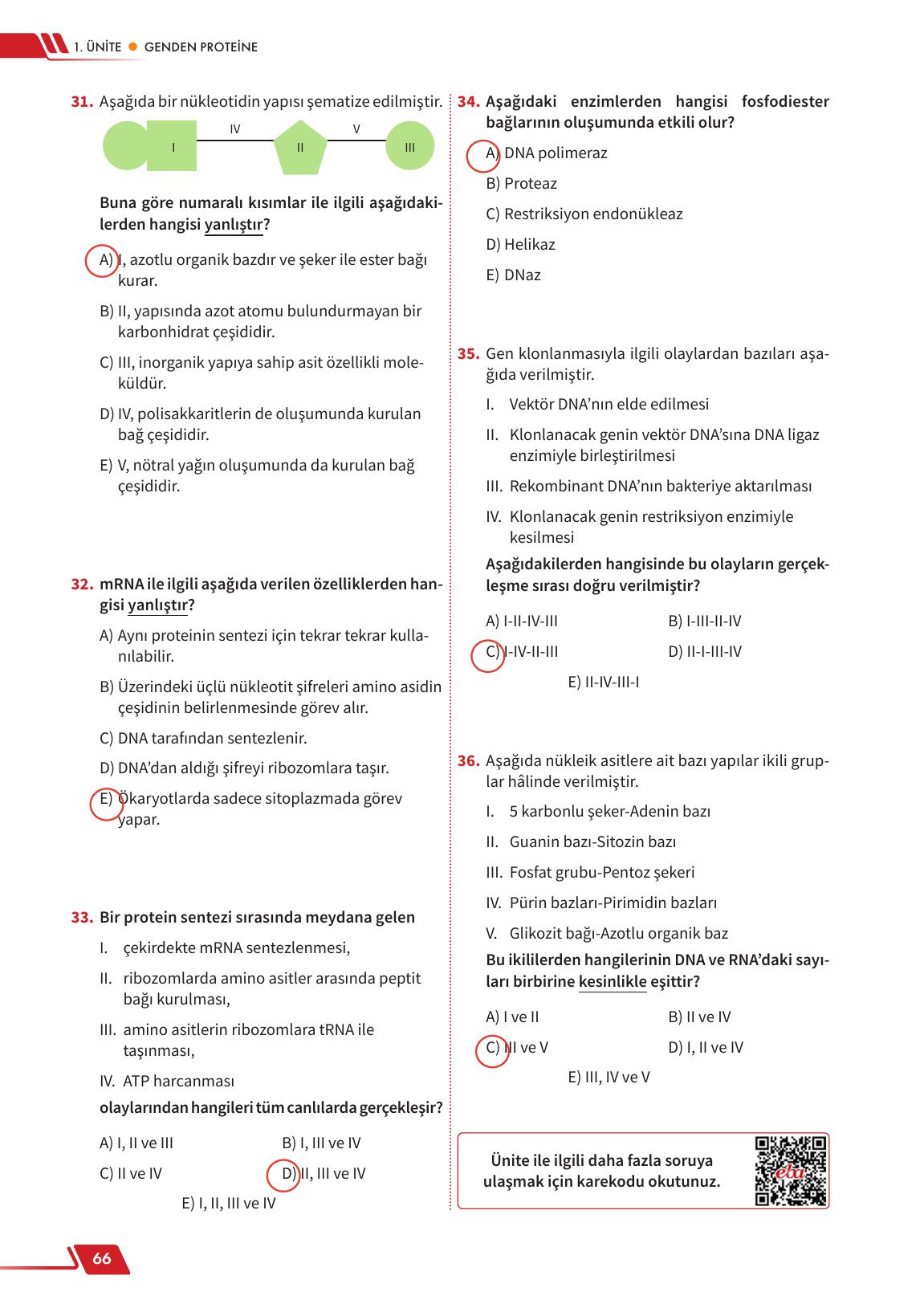 12. Sınıf Meb Yayınları Fen Lisesi Biyoloji Ders Kitabı Sayfa 66 Cevapları 12. Sınıf Meb Yayınları Fen Lisesi Biyoloji Ders Kitabı Sayfa 66 Cevapları