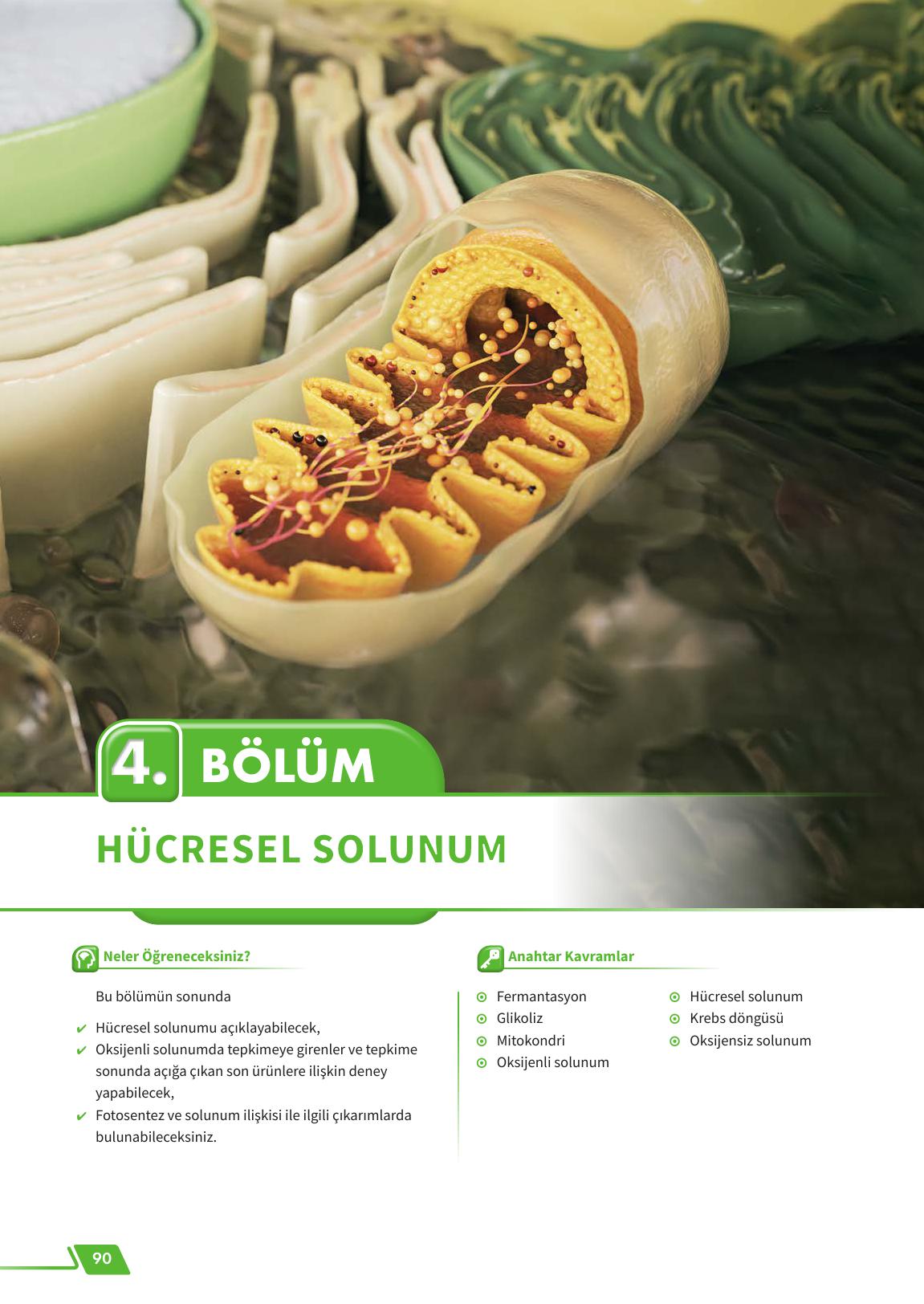 12. Sınıf Meb Yayınları Fen Lisesi Biyoloji Ders Kitabı Sayfa 90 Cevapları 12. Sınıf Meb Yayınları Fen Lisesi Biyoloji Ders Kitabı Sayfa 90 Cevapları