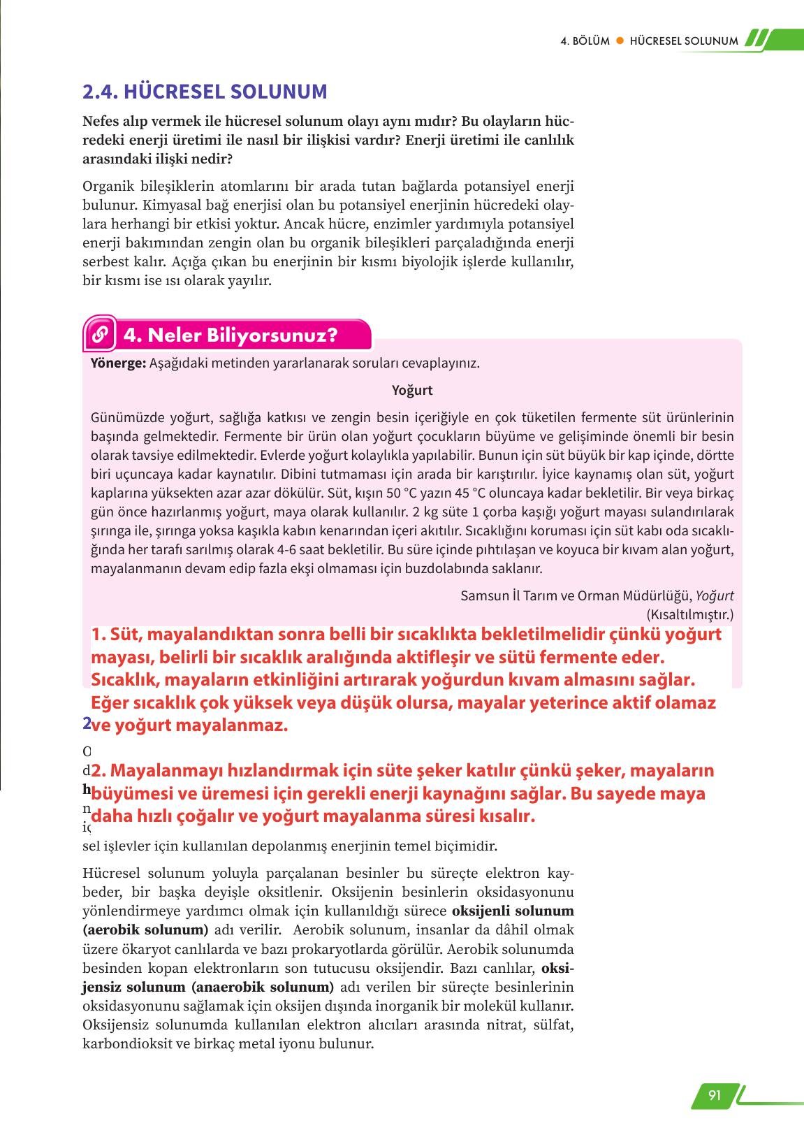 12. Sınıf Meb Yayınları Fen Lisesi Biyoloji Ders Kitabı Sayfa 91 Cevapları