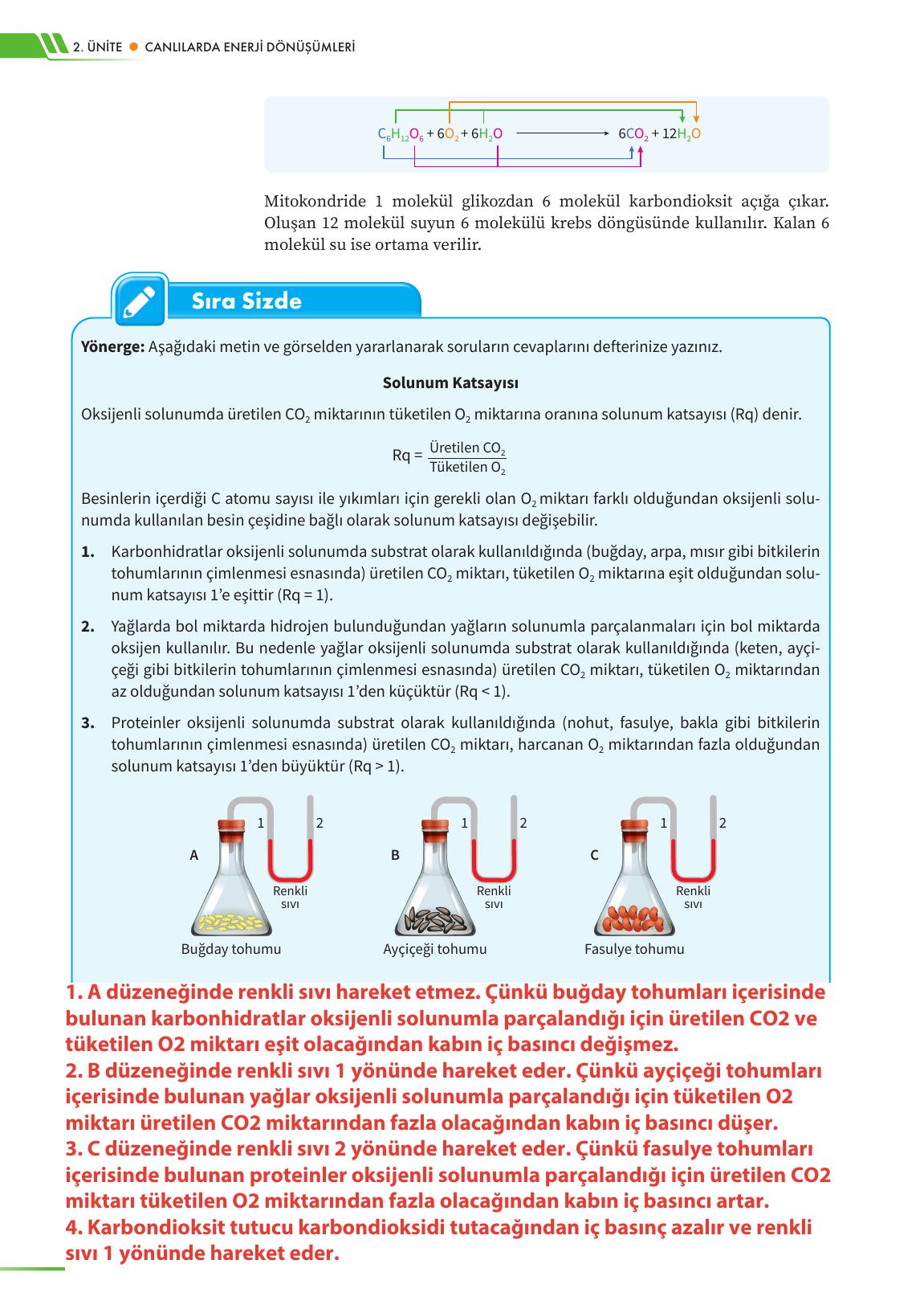 12. Sınıf Meb Yayınları Fen Lisesi Biyoloji Ders Kitabı Sayfa 96 Cevapları 12. Sınıf Meb Yayınları Fen Lisesi Biyoloji Ders Kitabı Sayfa 96 Cevapları