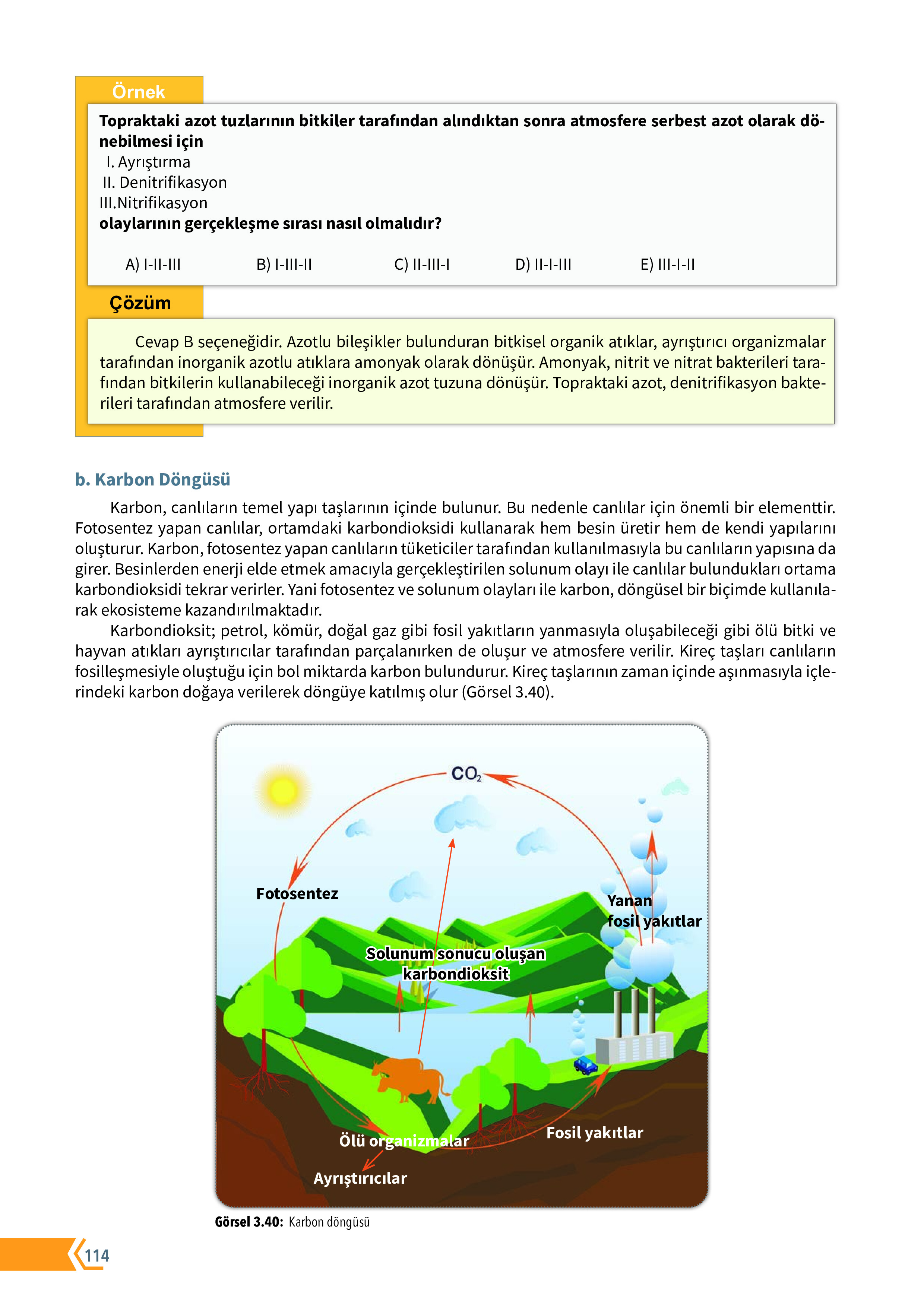 10. Sınıf Meb Yayınları Fen Lisesi Biyoloji Ders Kitabı Sayfa 114 Cevapları