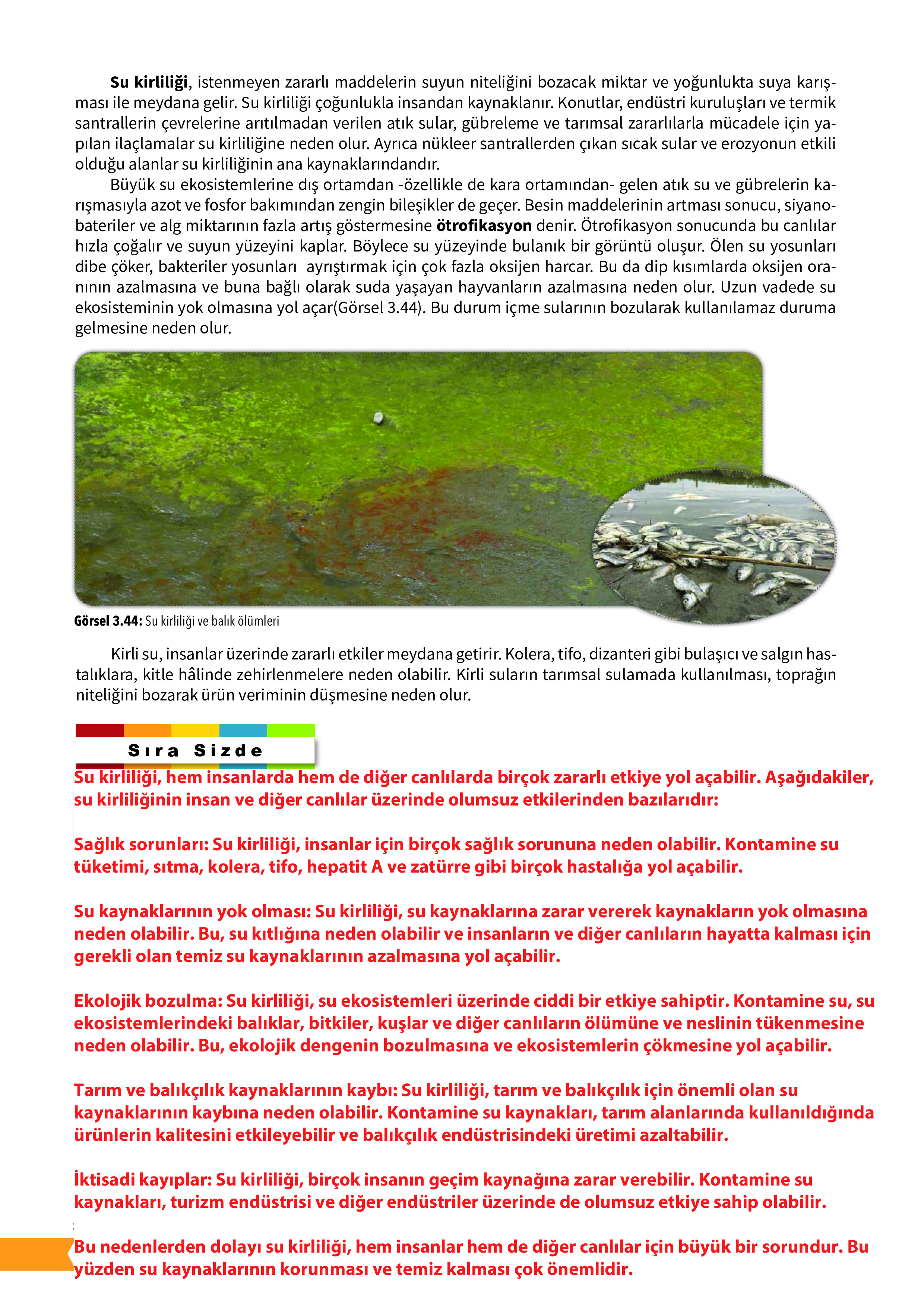 10. Sınıf Meb Yayınları Fen Lisesi Biyoloji Ders Kitabı Sayfa 118 Cevapları