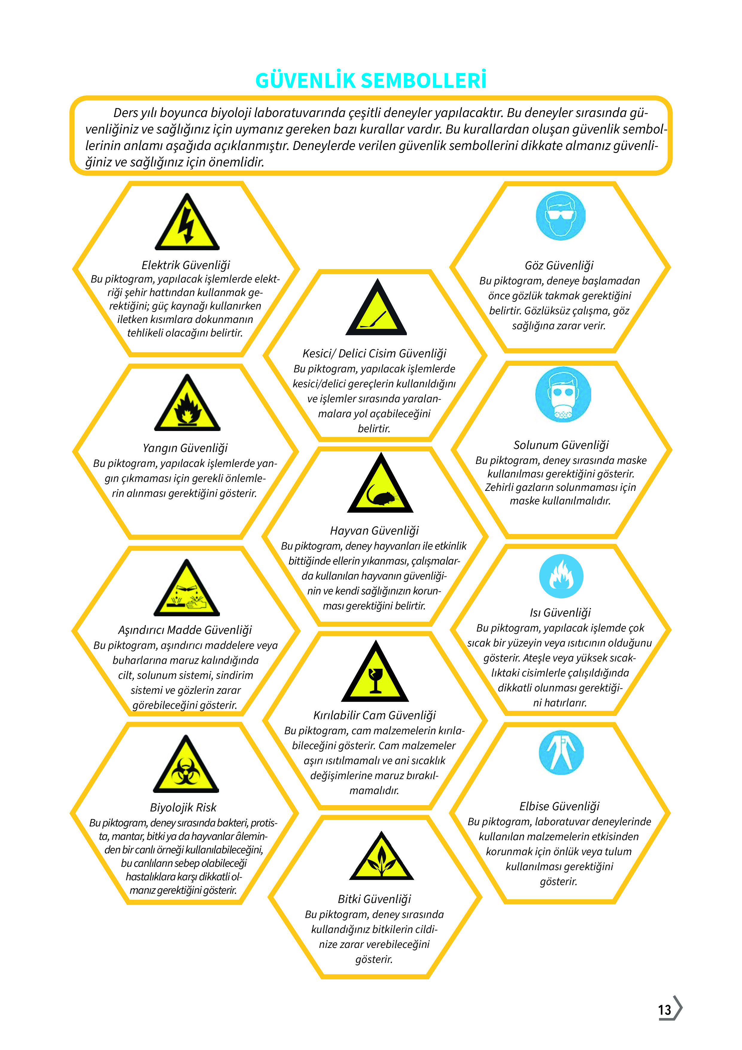 10. Sınıf Meb Yayınları Fen Lisesi Biyoloji Ders Kitabı Sayfa 13 Cevapları