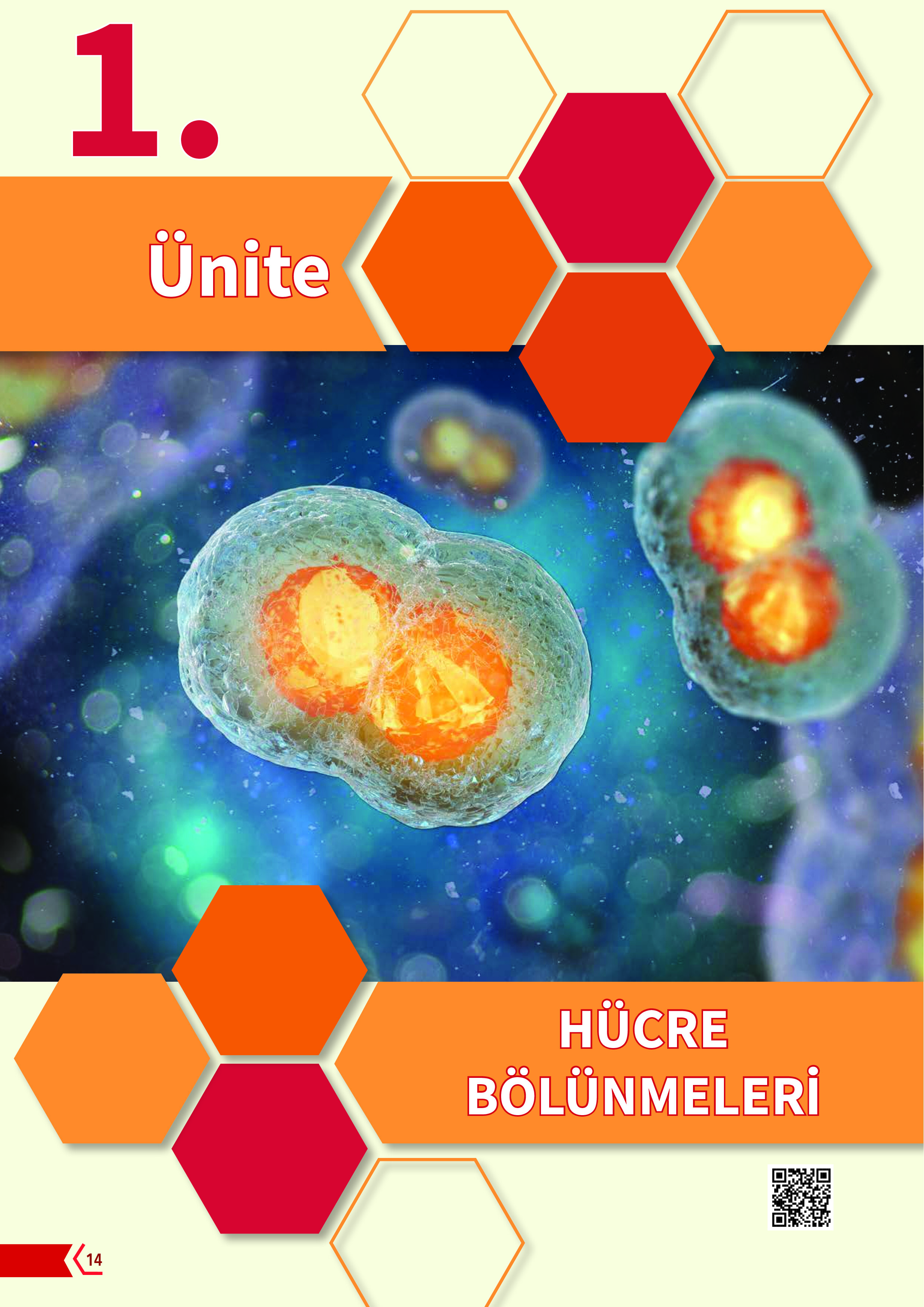 10. Sınıf Meb Yayınları Fen Lisesi Biyoloji Ders Kitabı Sayfa 14 Cevapları
