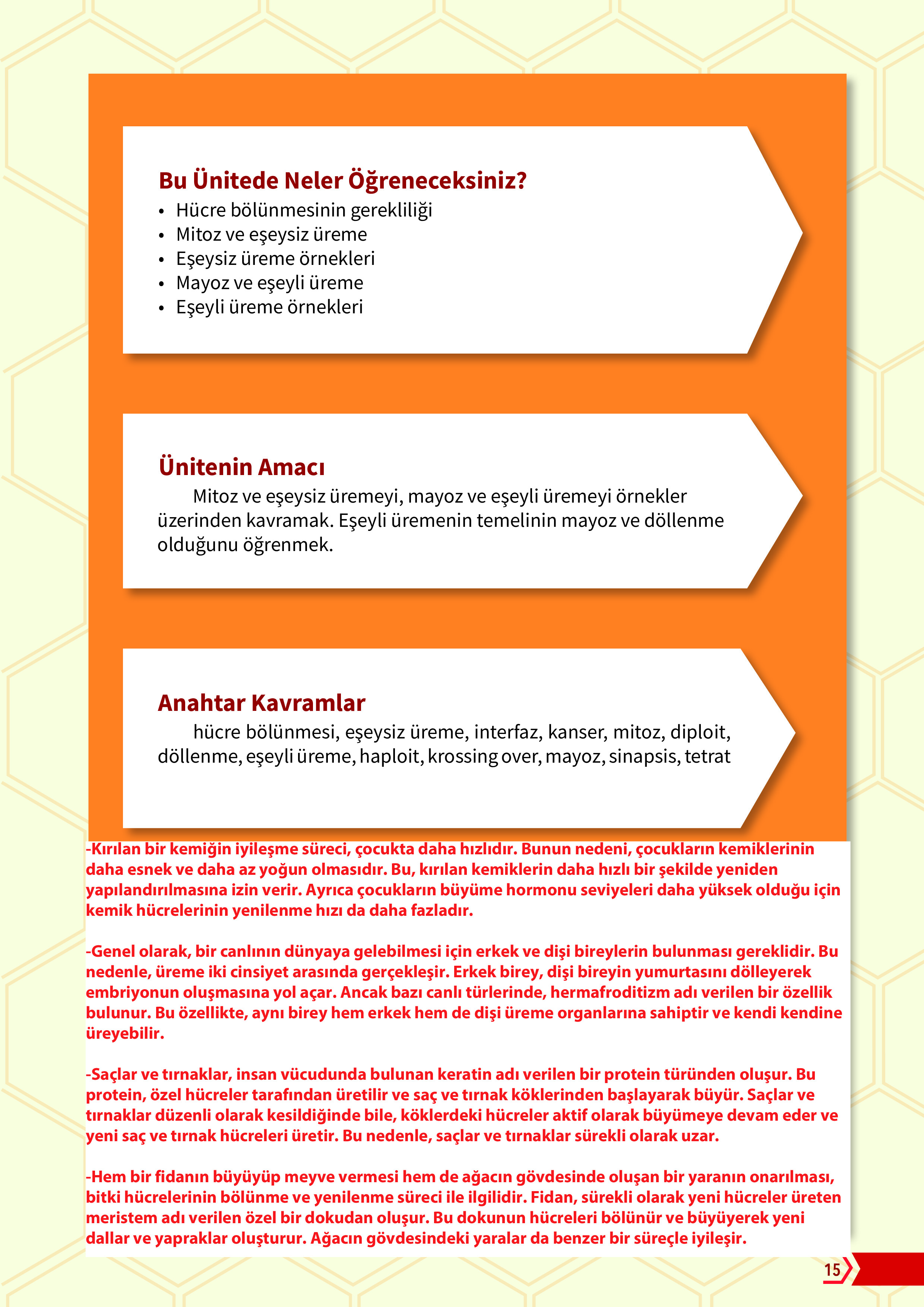 10. Sınıf Meb Yayınları Fen Lisesi Biyoloji Ders Kitabı Sayfa 15 Cevapları
