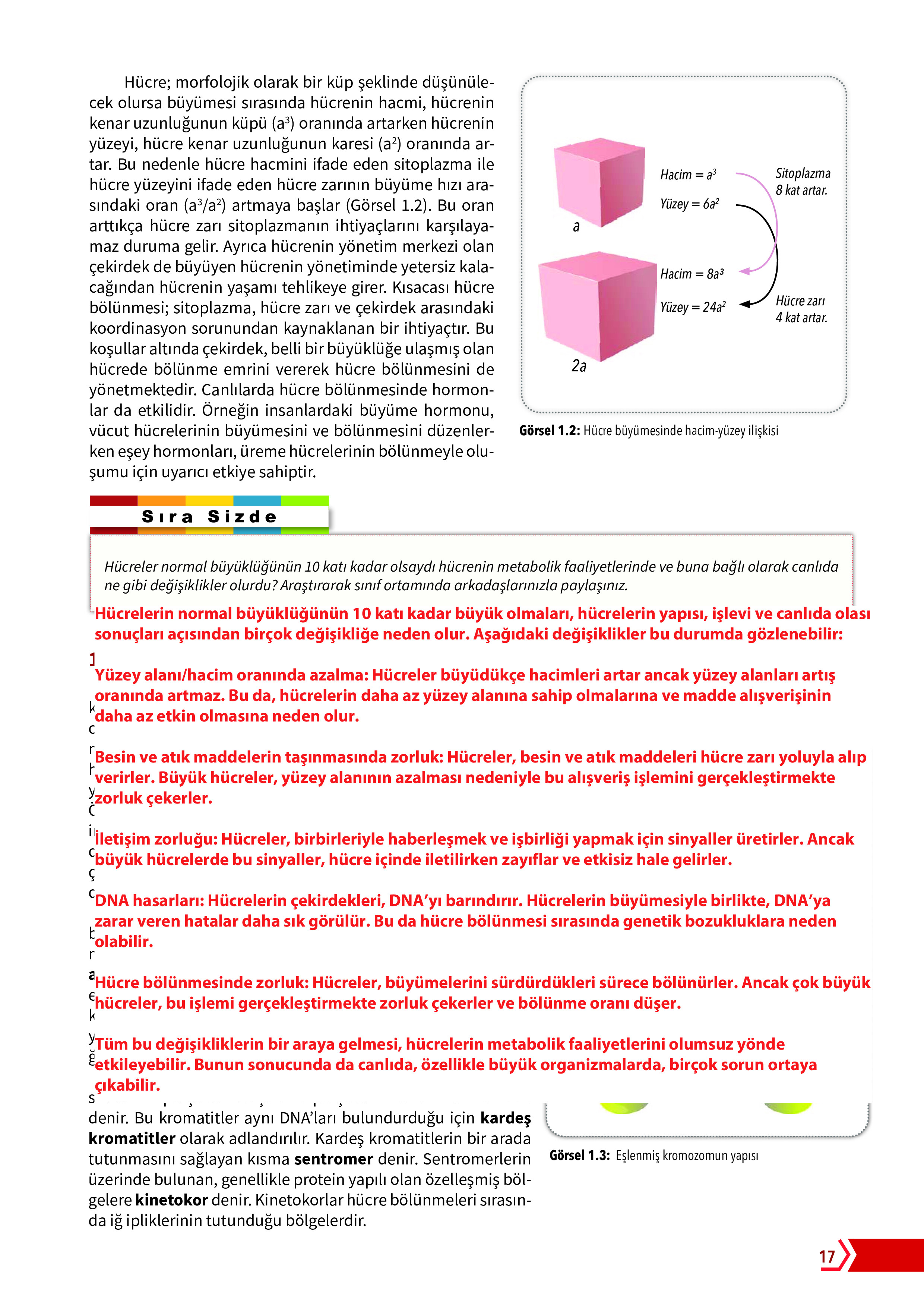 10. Sınıf Meb Yayınları Fen Lisesi Biyoloji Ders Kitabı Sayfa 17 Cevapları