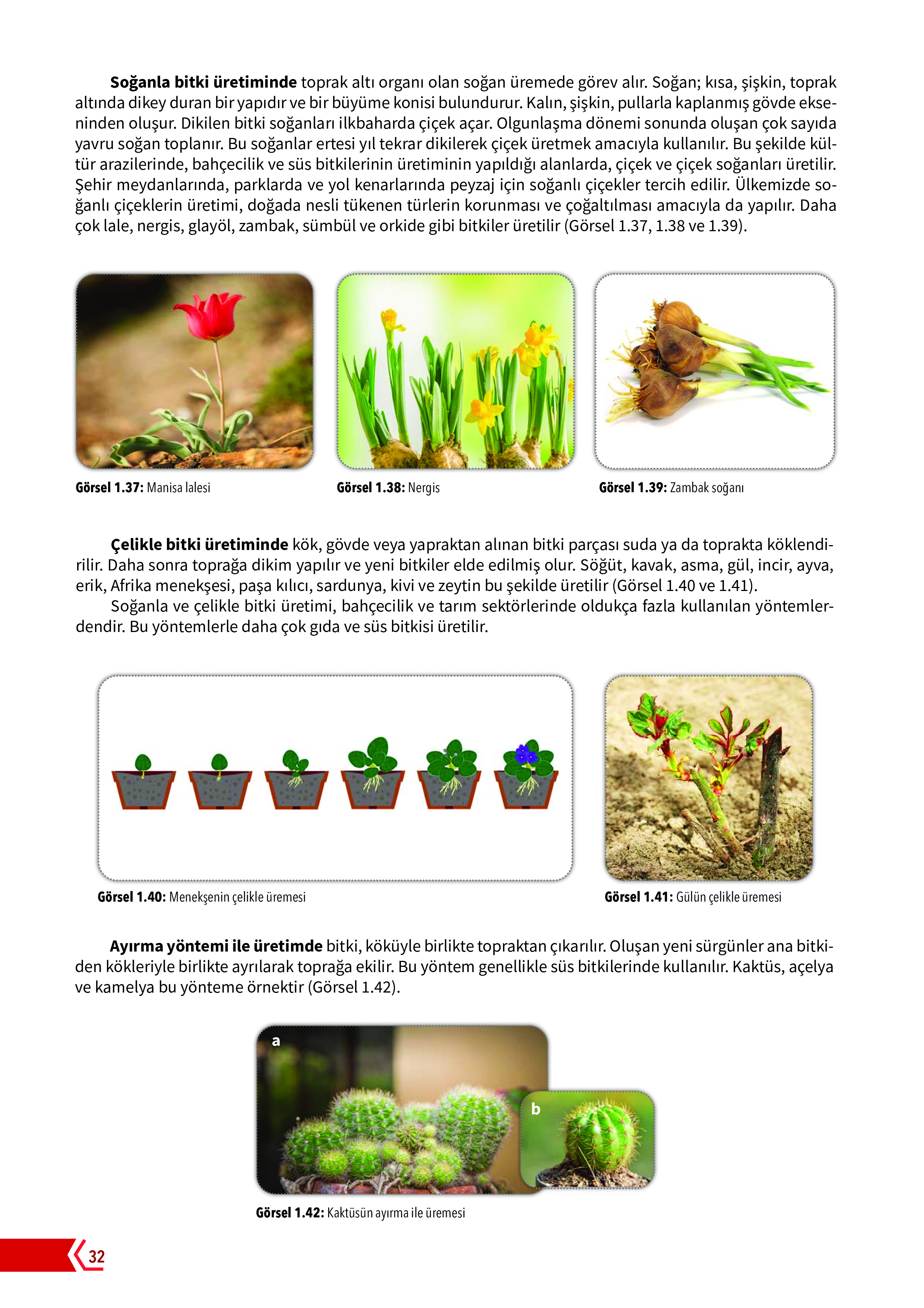 10. Sınıf Meb Yayınları Fen Lisesi Biyoloji Ders Kitabı Sayfa 32 Cevapları