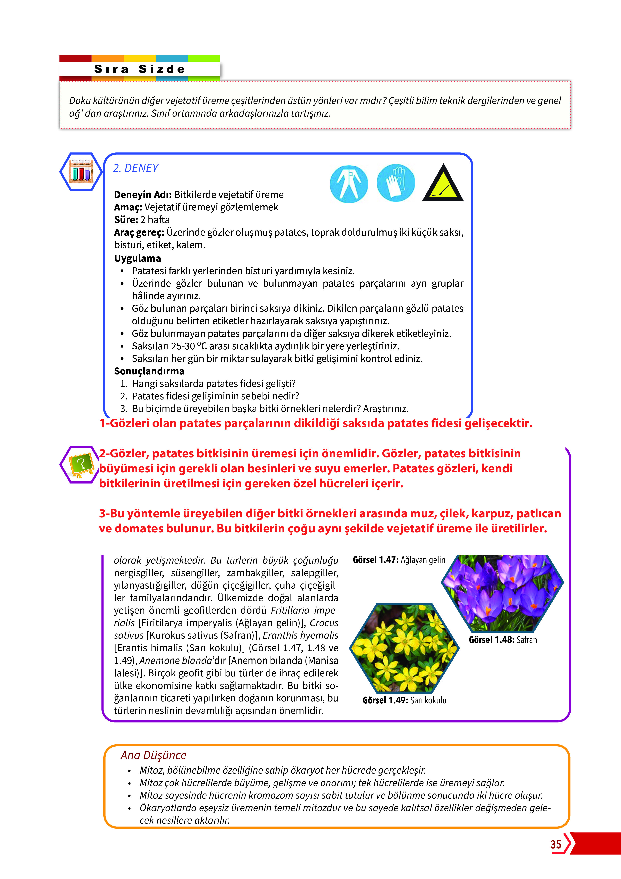 10. Sınıf Meb Yayınları Fen Lisesi Biyoloji Ders Kitabı Sayfa 35 Cevapları
