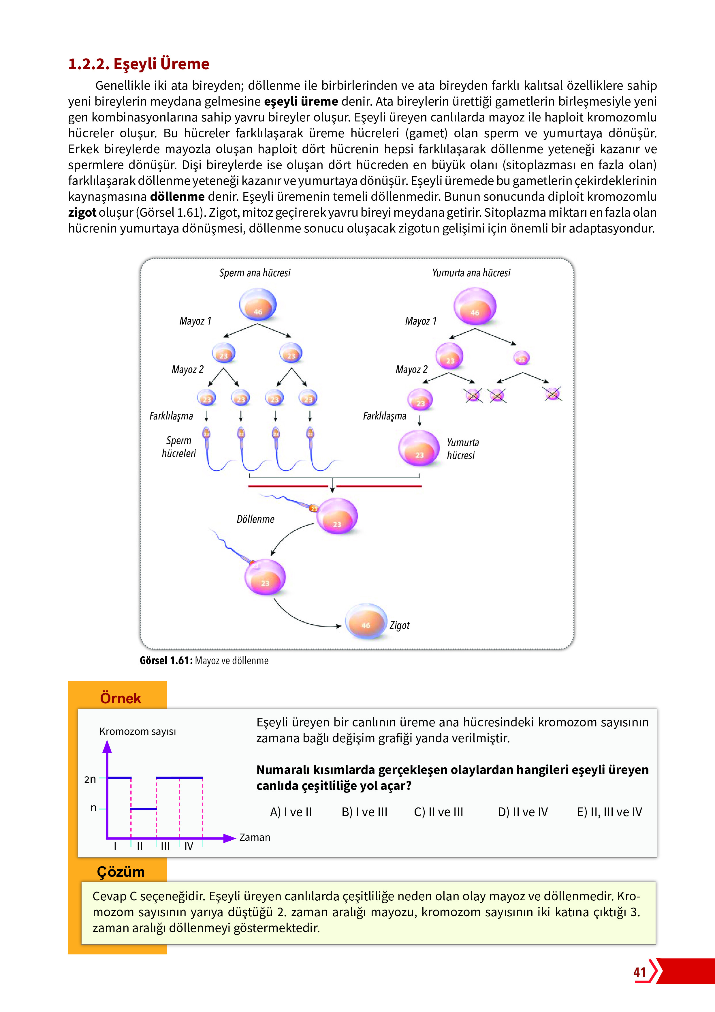 10. Sınıf Meb Yayınları Fen Lisesi Biyoloji Ders Kitabı Sayfa 41 Cevapları