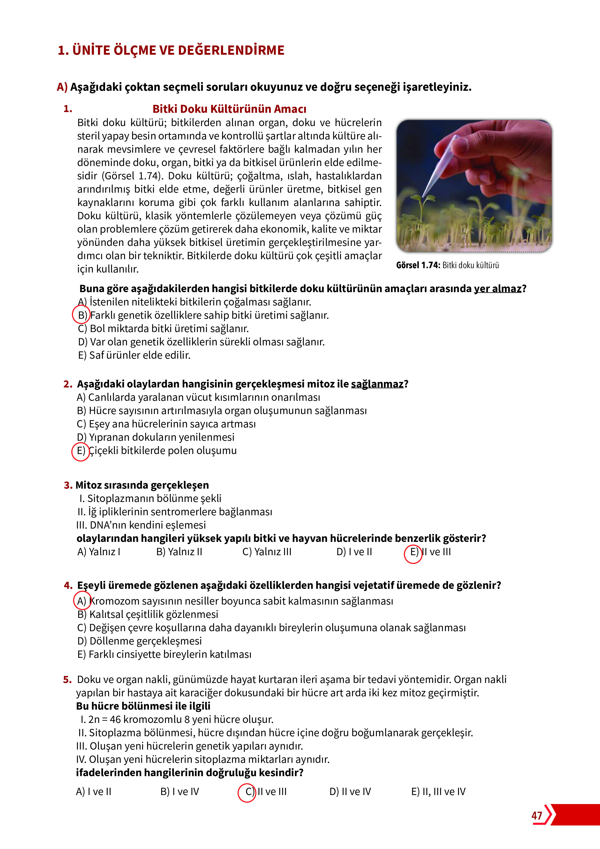 10. Sınıf Meb Yayınları Fen Lisesi Biyoloji Ders Kitabı Sayfa 47 Cevapları