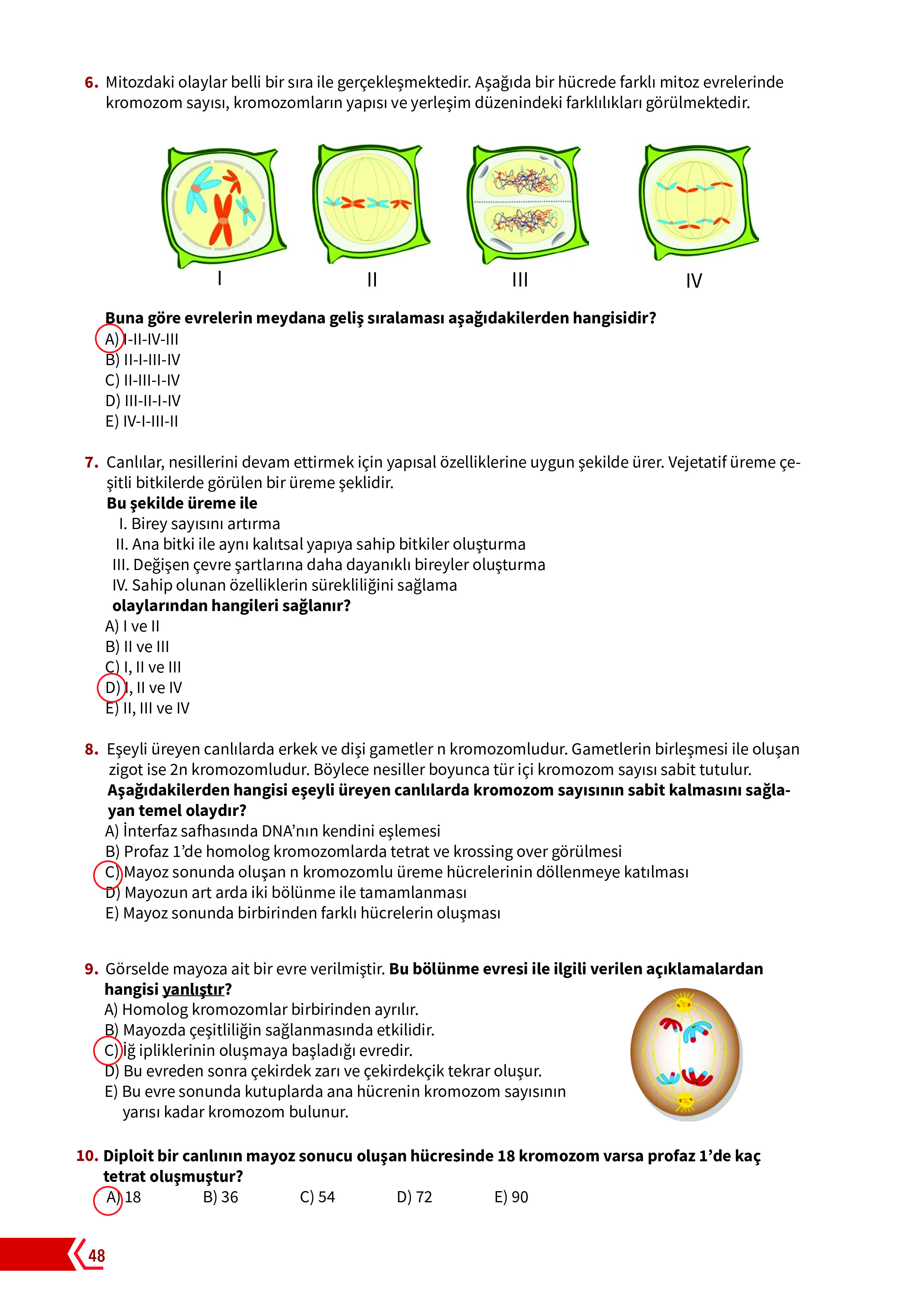 10. Sınıf Meb Yayınları Fen Lisesi Biyoloji Ders Kitabı Sayfa 48 Cevapları