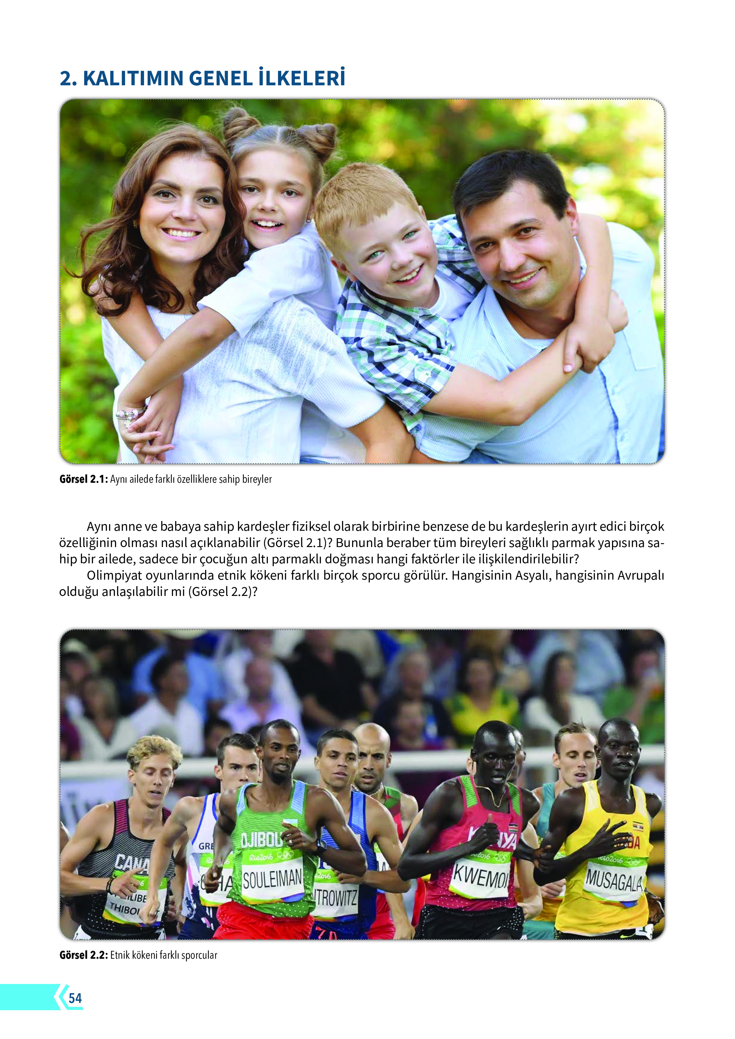 10. Sınıf Meb Yayınları Fen Lisesi Biyoloji Ders Kitabı Sayfa 54 Cevapları