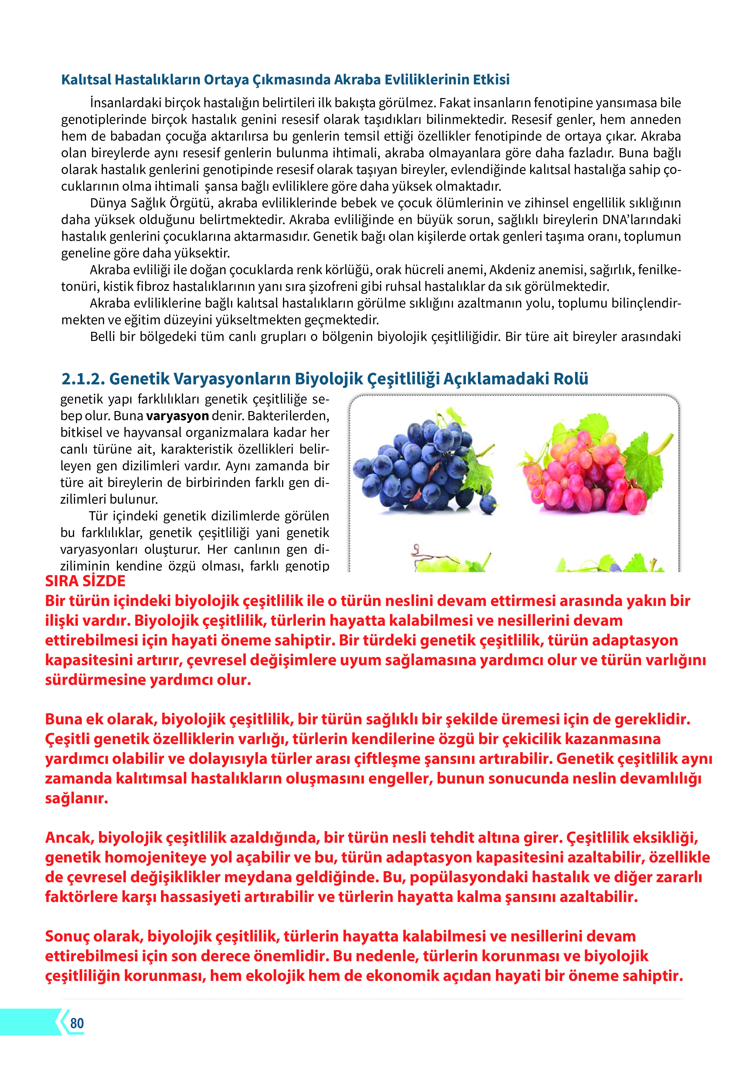 10. Sınıf Meb Yayınları Fen Lisesi Biyoloji Ders Kitabı Sayfa 80 Cevapları 10. Sınıf Meb Yayınları Fen Lisesi Biyoloji Ders Kitabı Sayfa 80 Cevapları
