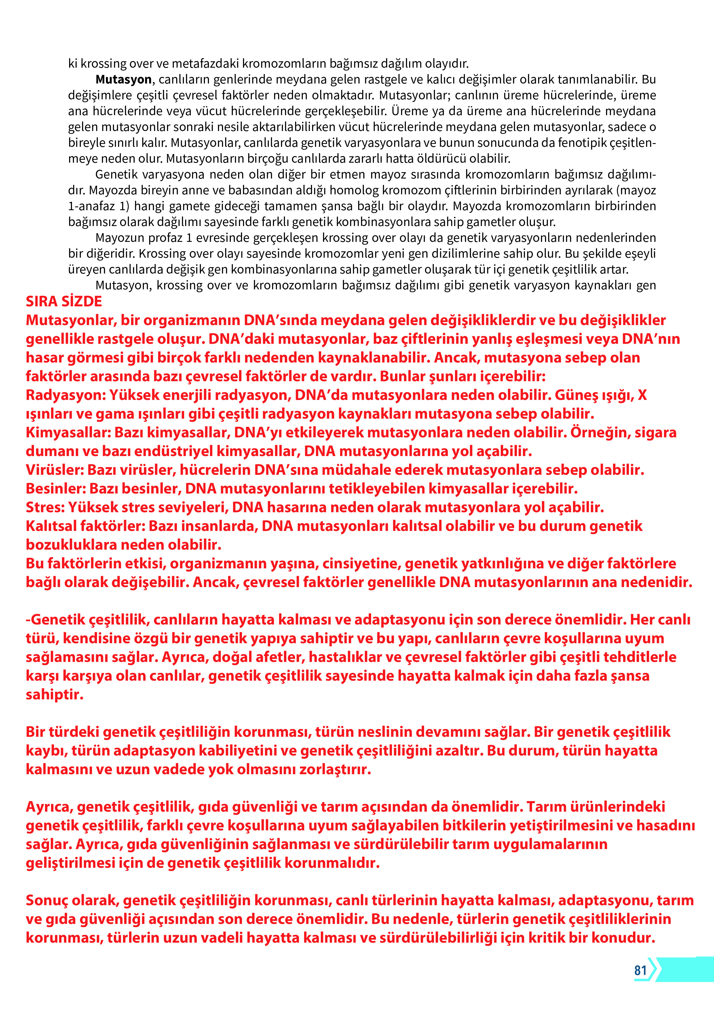 10. Sınıf Meb Yayınları Fen Lisesi Biyoloji Ders Kitabı Sayfa 81 Cevapları